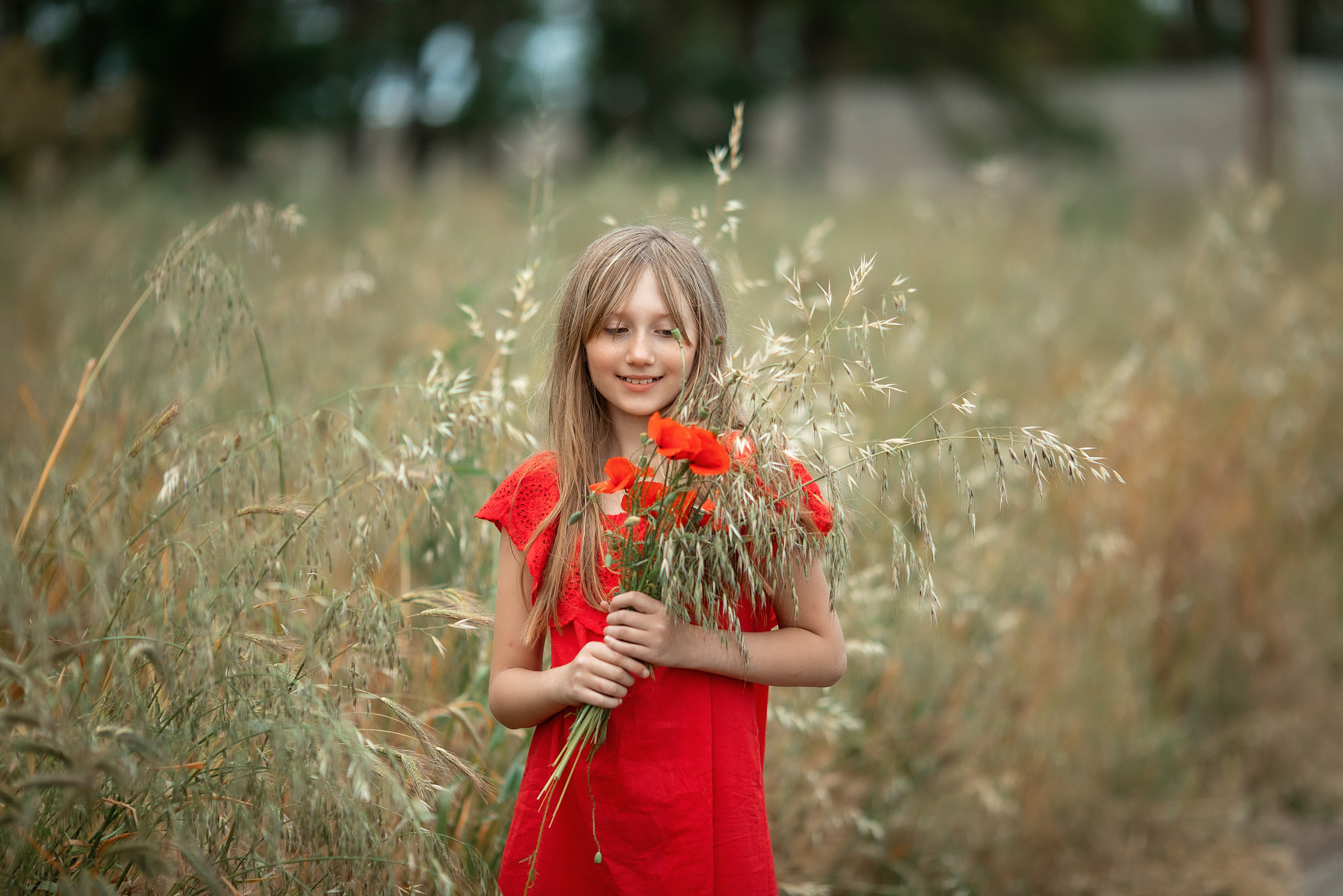 Яркие маки. Художественный фотограф Анапа Александра Долбикова