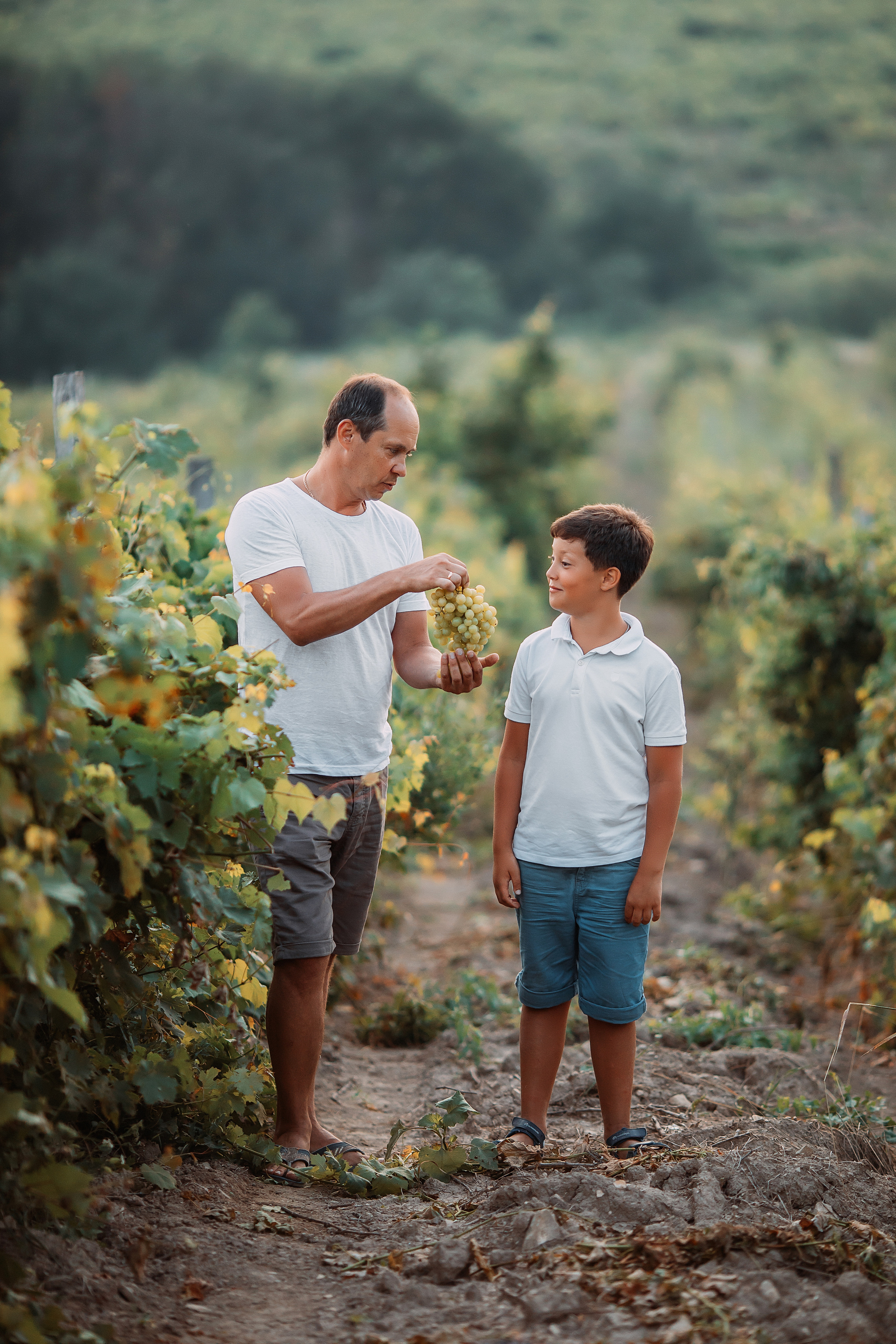 Виноградники. Художественный фотограф Анапа Александра Долбикова