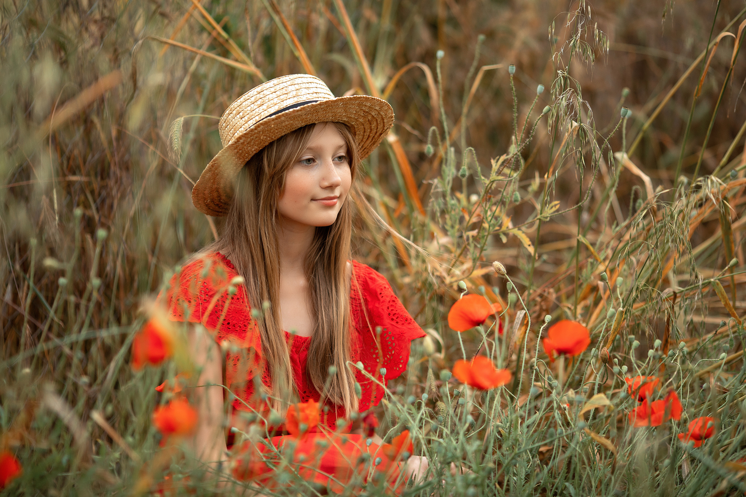 Яркие маки. Художественный фотограф Анапа Александра Долбикова