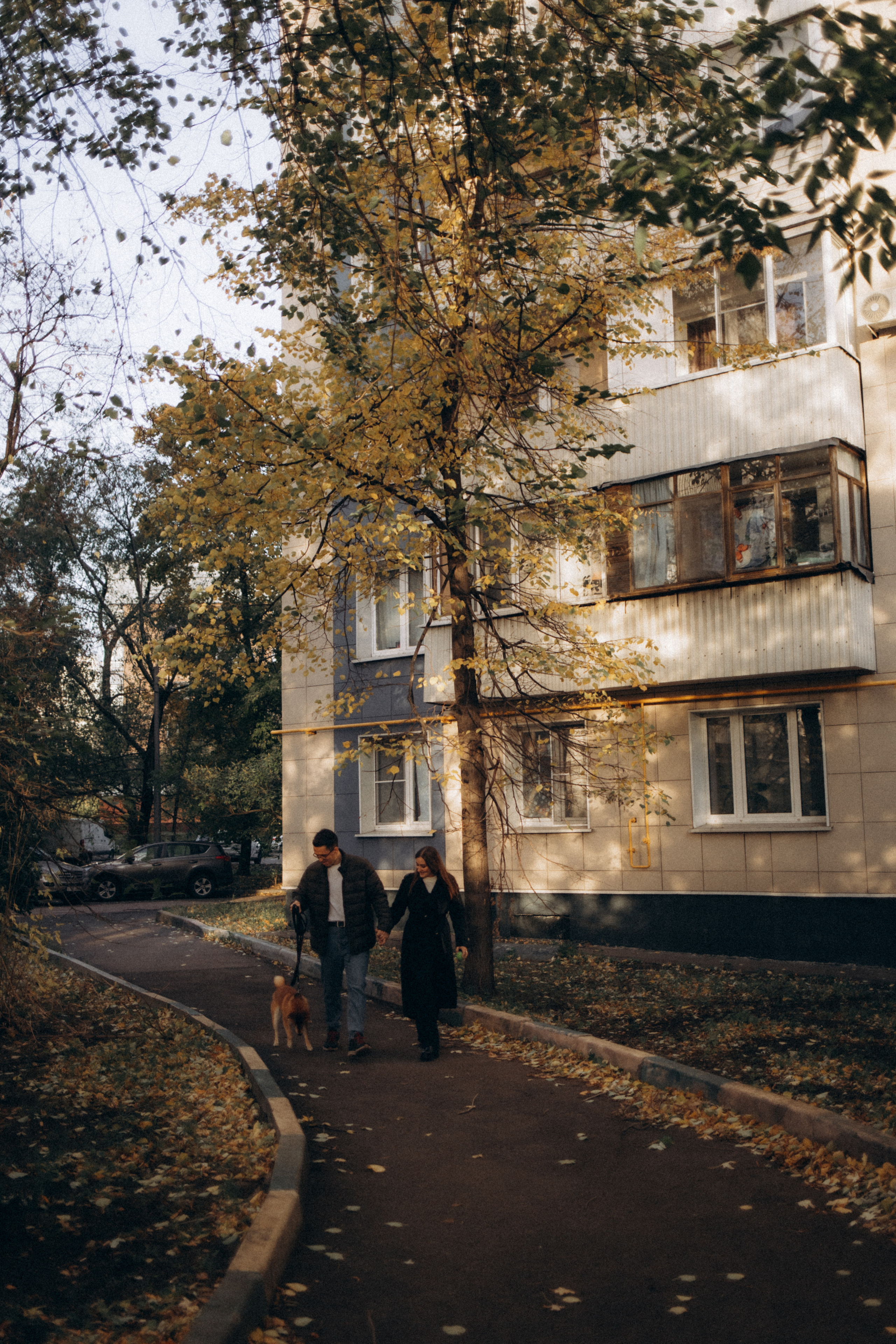 Дима и Ксюша. 08.10.2022. Семейный, портретный и свадебный фотограф в Москве и Одинцово Лощинина Мария