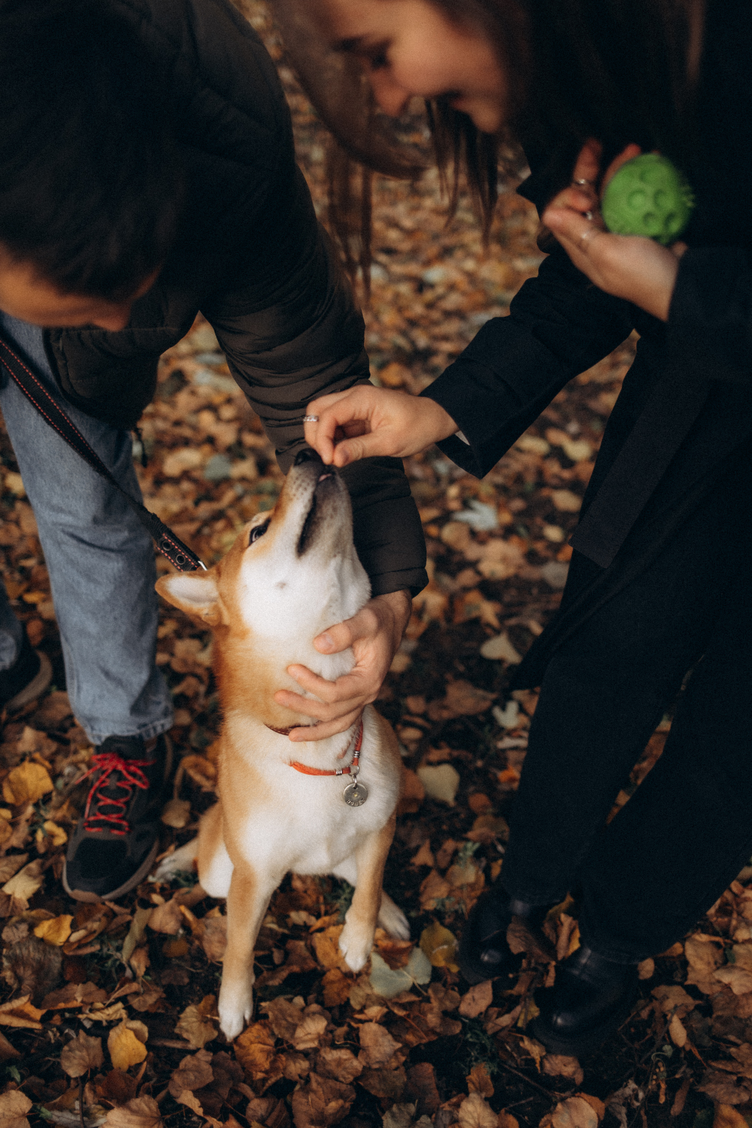 Дима и Ксюша. 08.10.2022. Семейный, портретный и свадебный фотограф в Москве и Одинцово Лощинина Мария