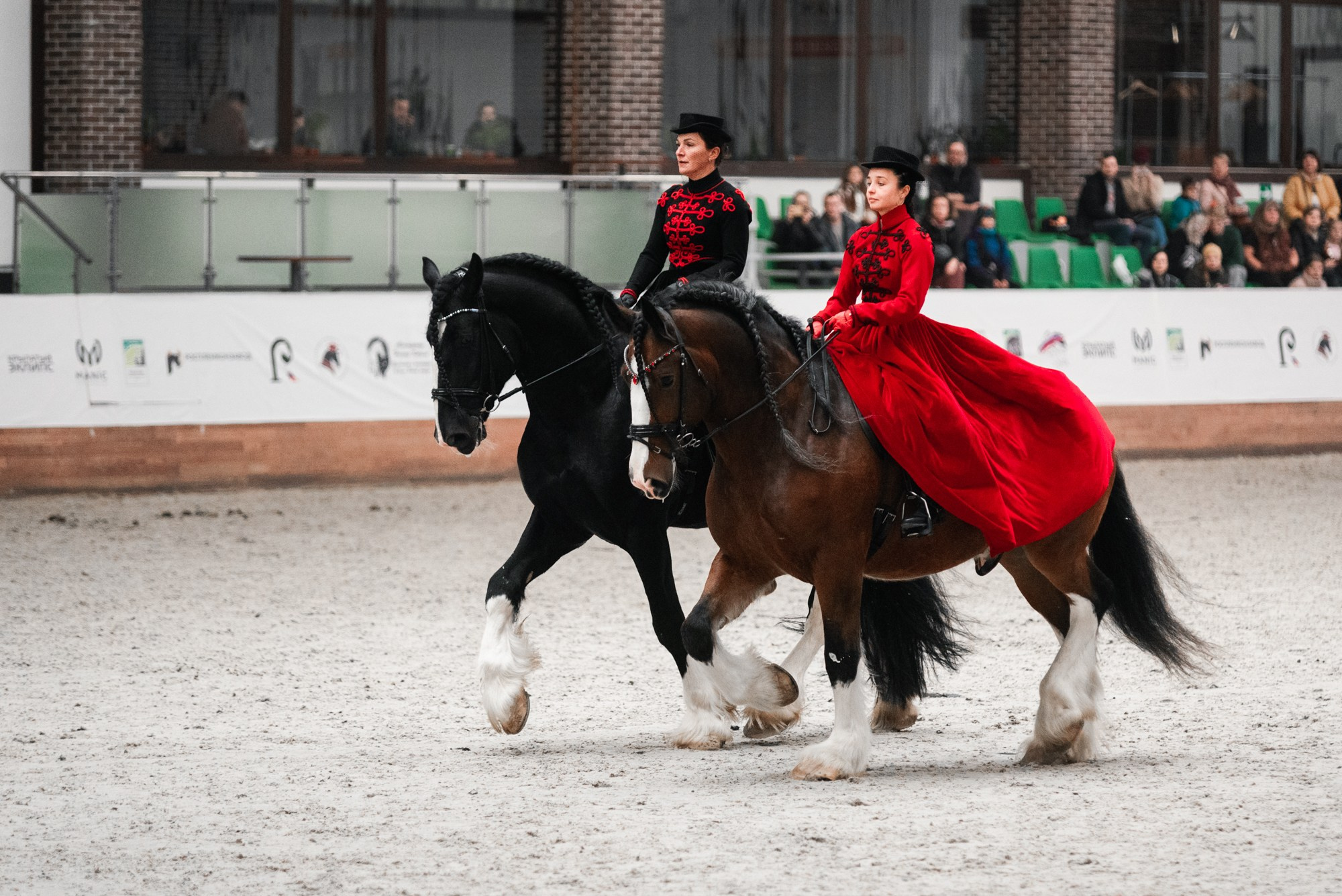 Конный фотограф Куракина Дарья • Фотосессии с лошадьми
