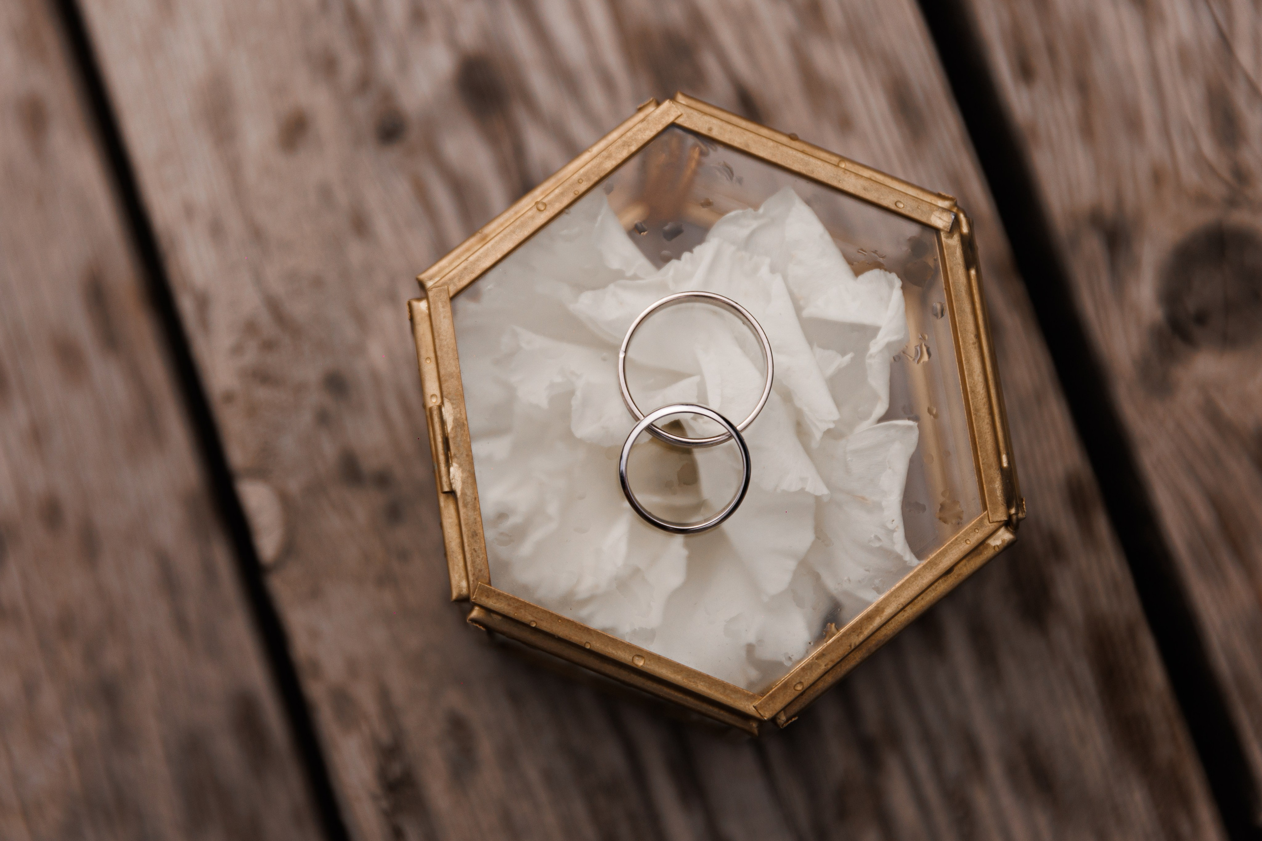 Weddings. Photographer Sasha Orlov