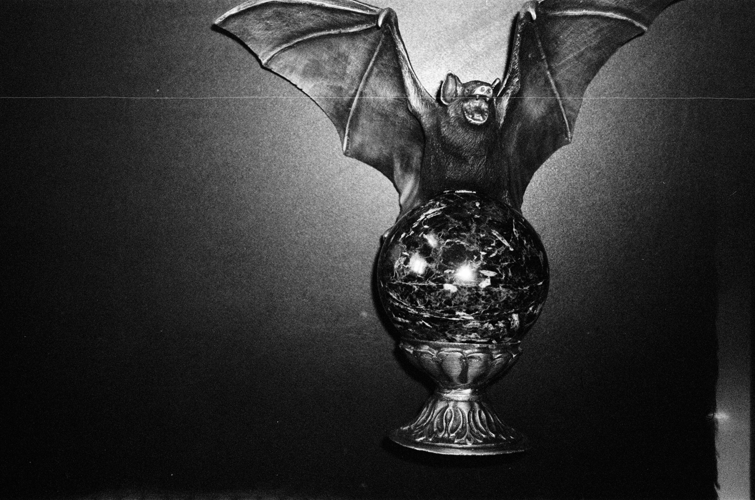 Афган. Фотограф Аня Марченкова