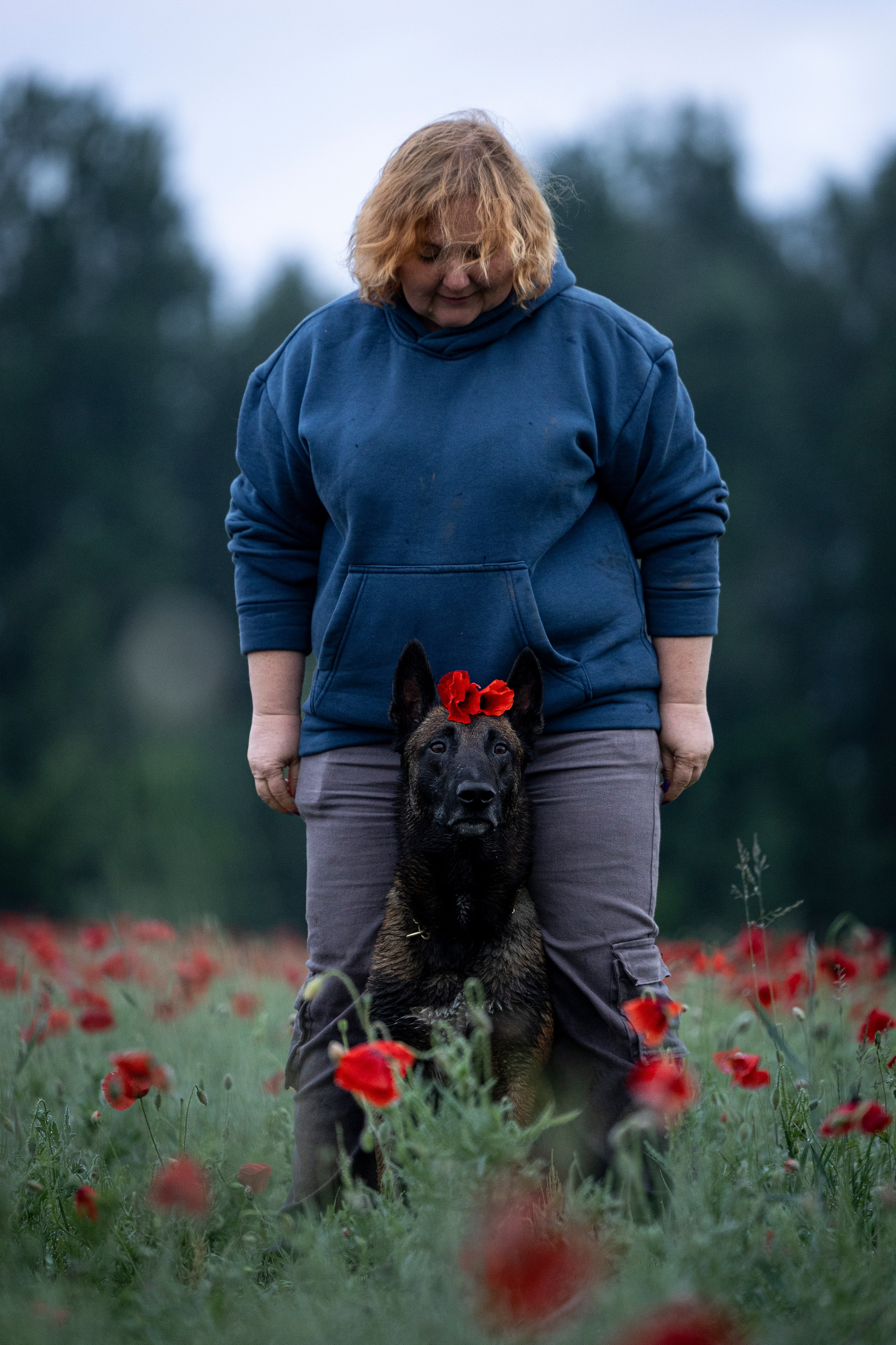 Маковое поле. Фотограф-анималист Анна Маринич