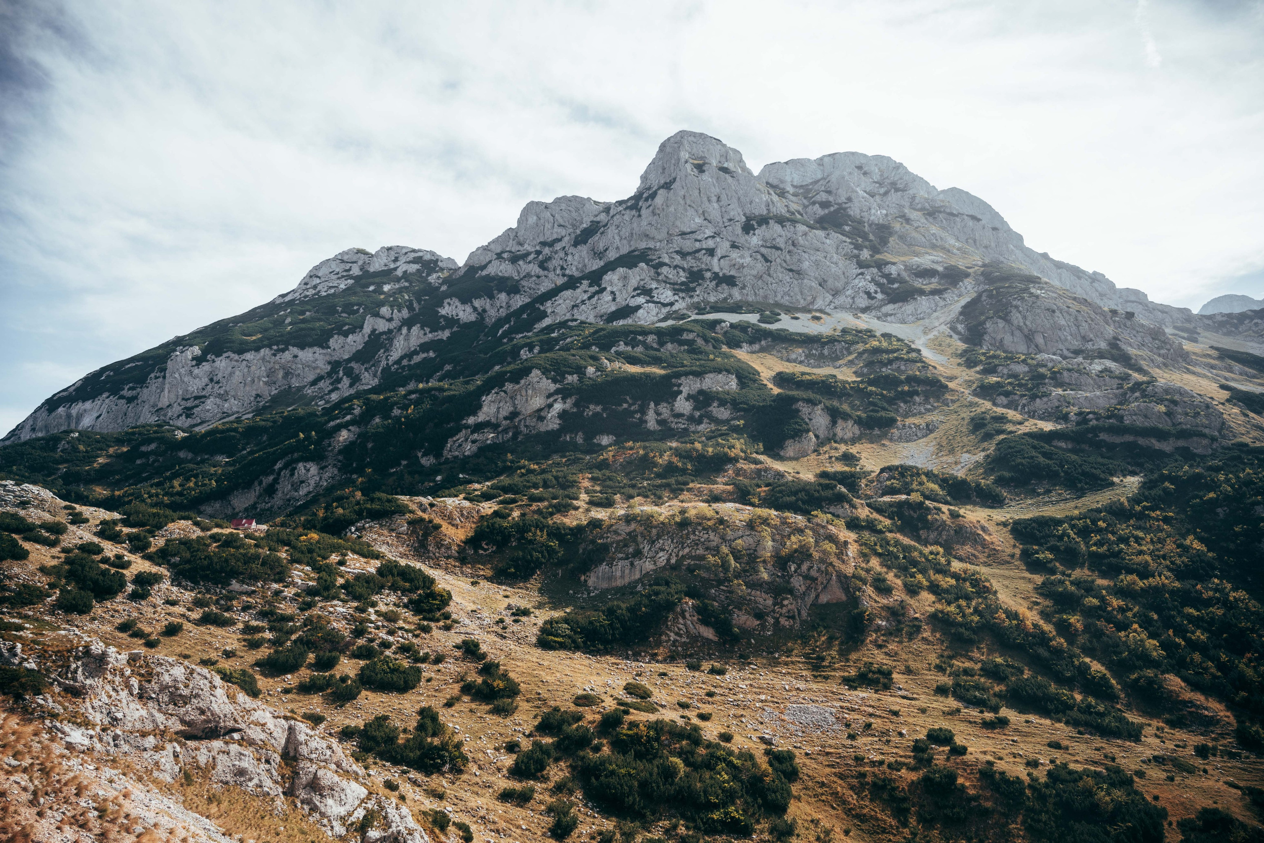 ДОЛИНА ЛОКВИЦЕ. ЧЕРНОГОРИЯ. Фотограф в Белграде Чугреева Елена