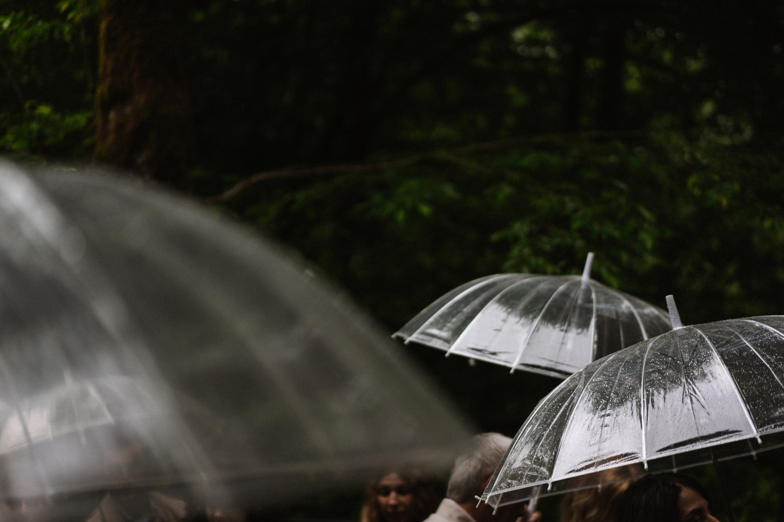 Прячься! Дождь идёт. Сочи. 2024. Никита Погосов