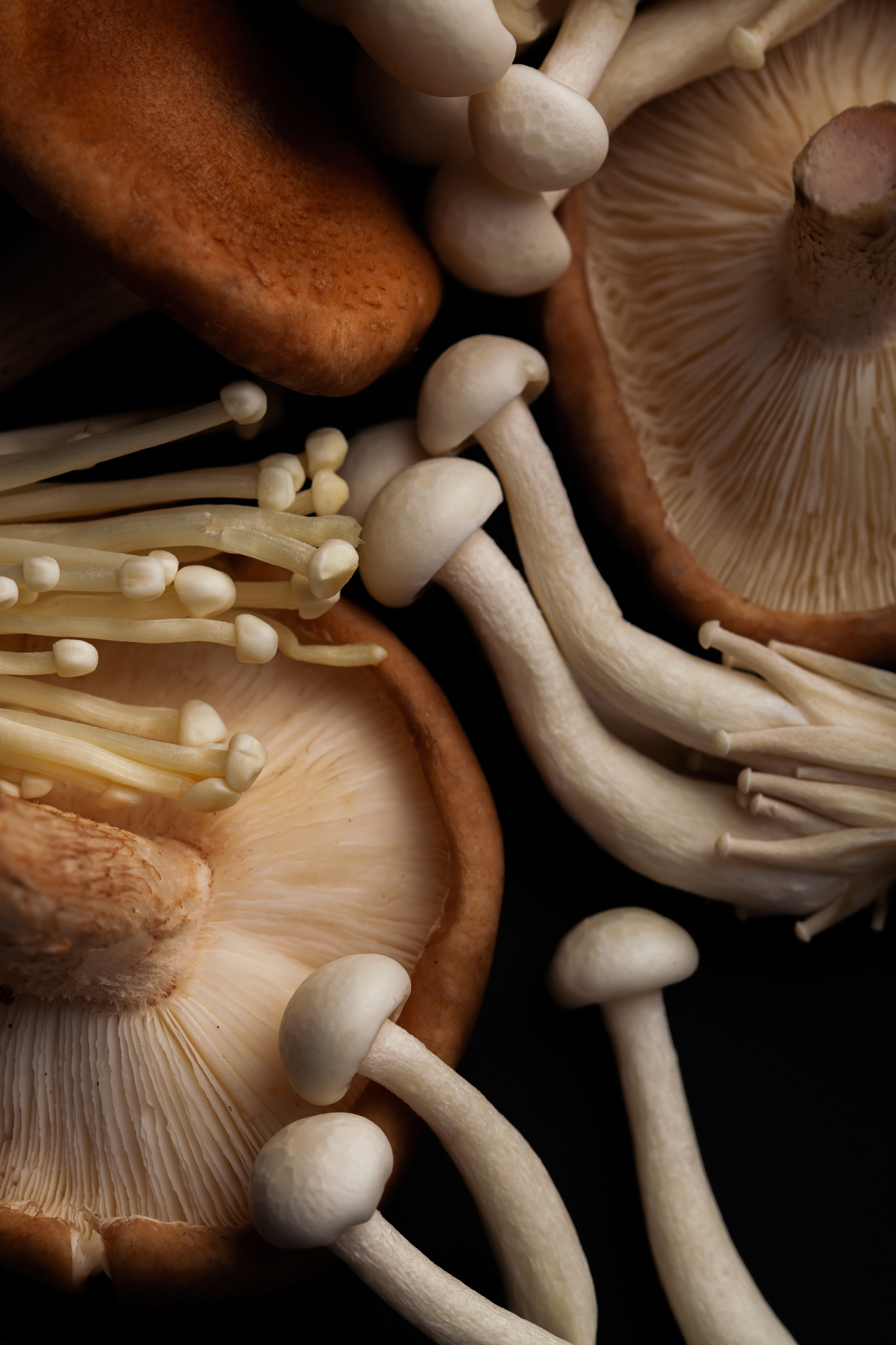 BLACK THAI. Фотограф Агеева Мария