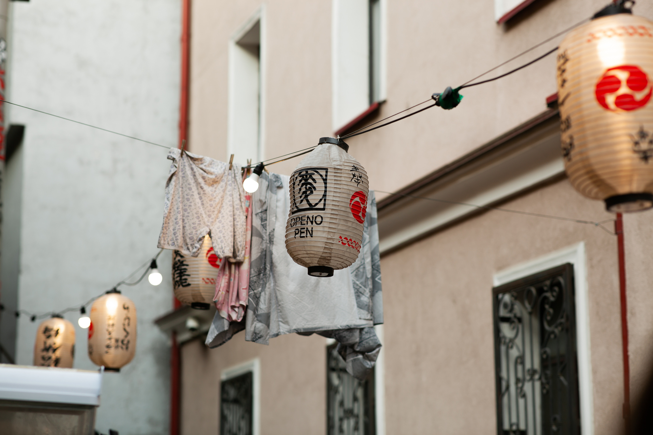 ТЕБУРАСИКА. Фотограф Агеева Мария