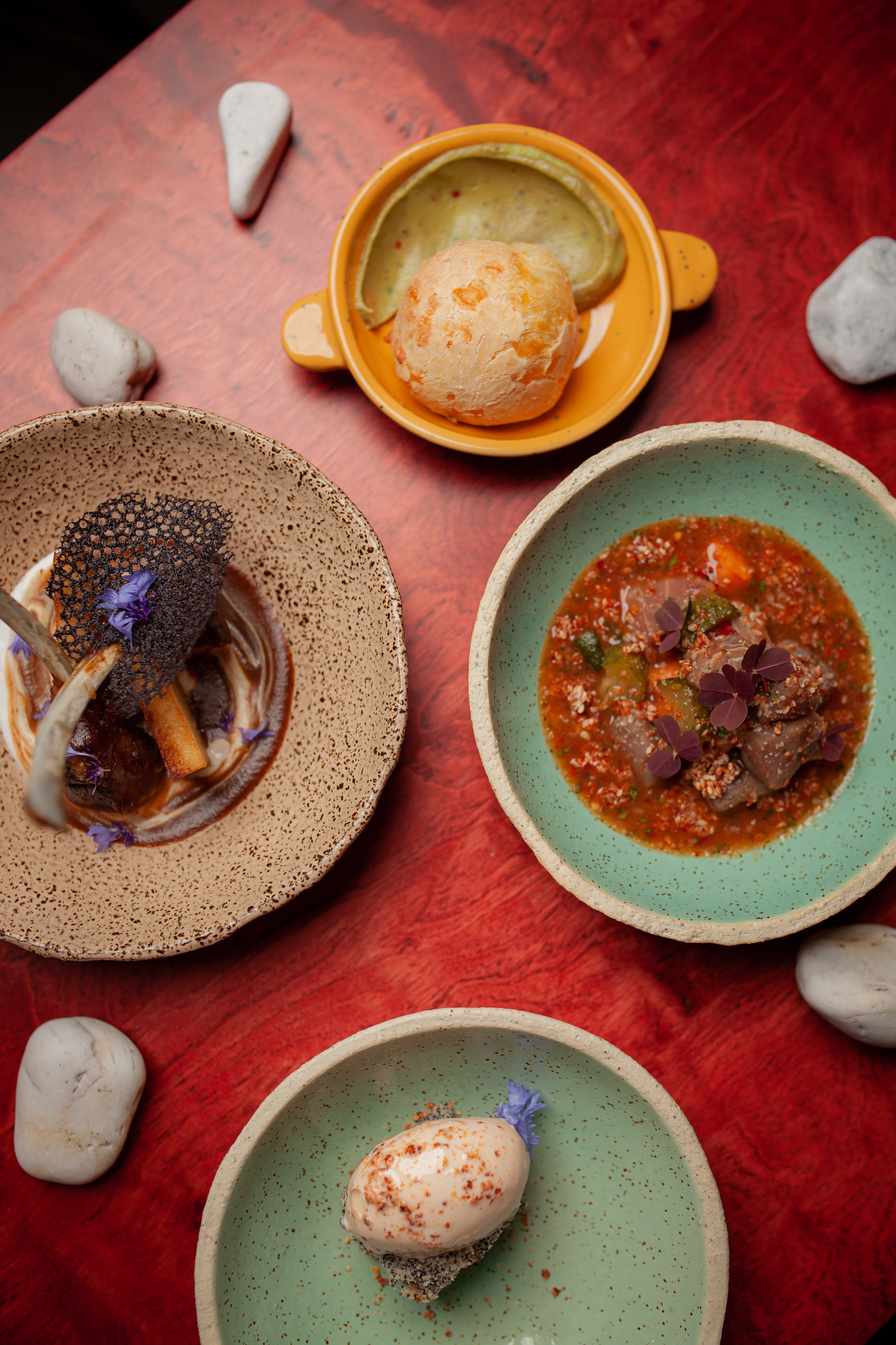 ALPACA. Фотограф Агеева Мария