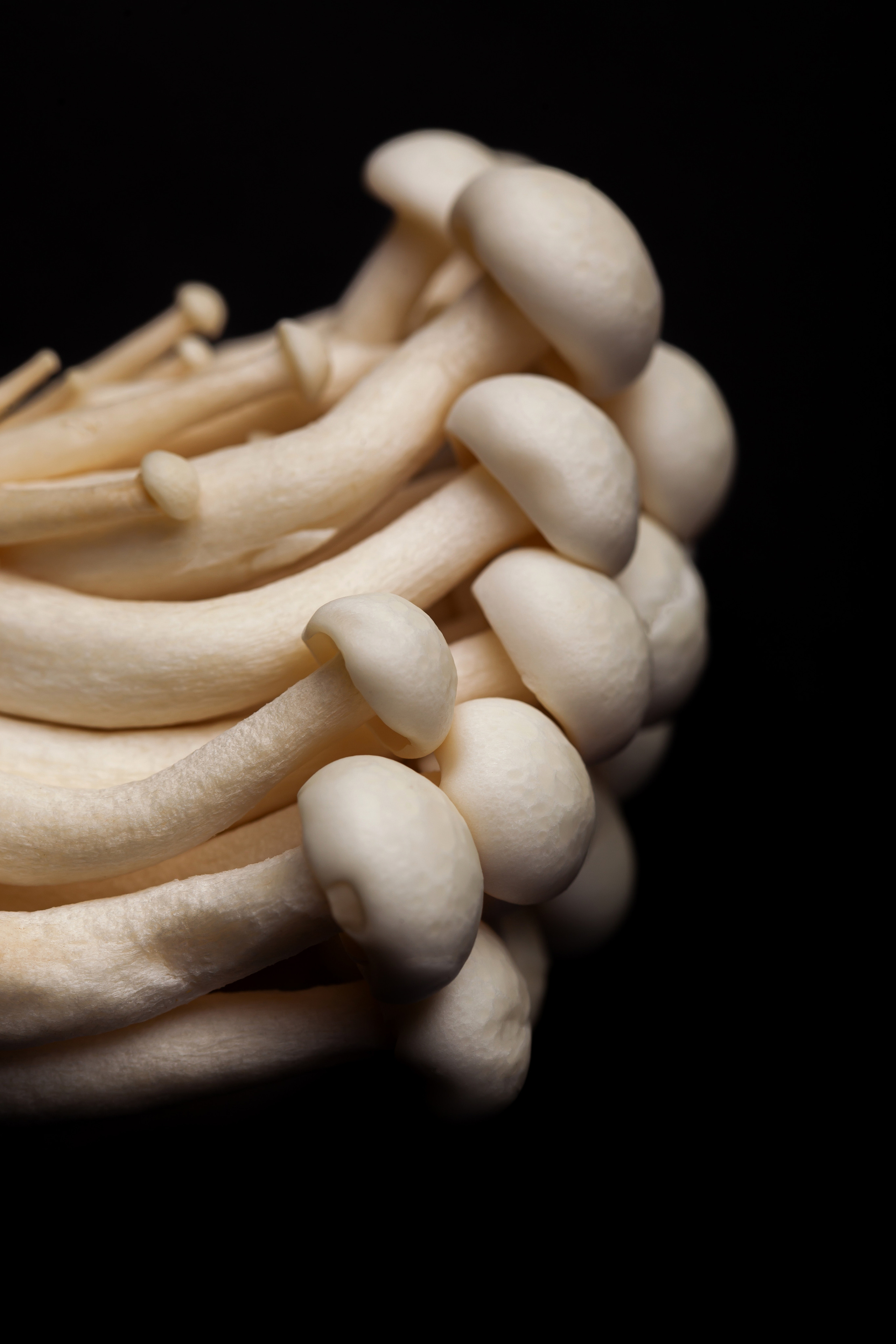 BLACK THAI. Фотограф Агеева Мария