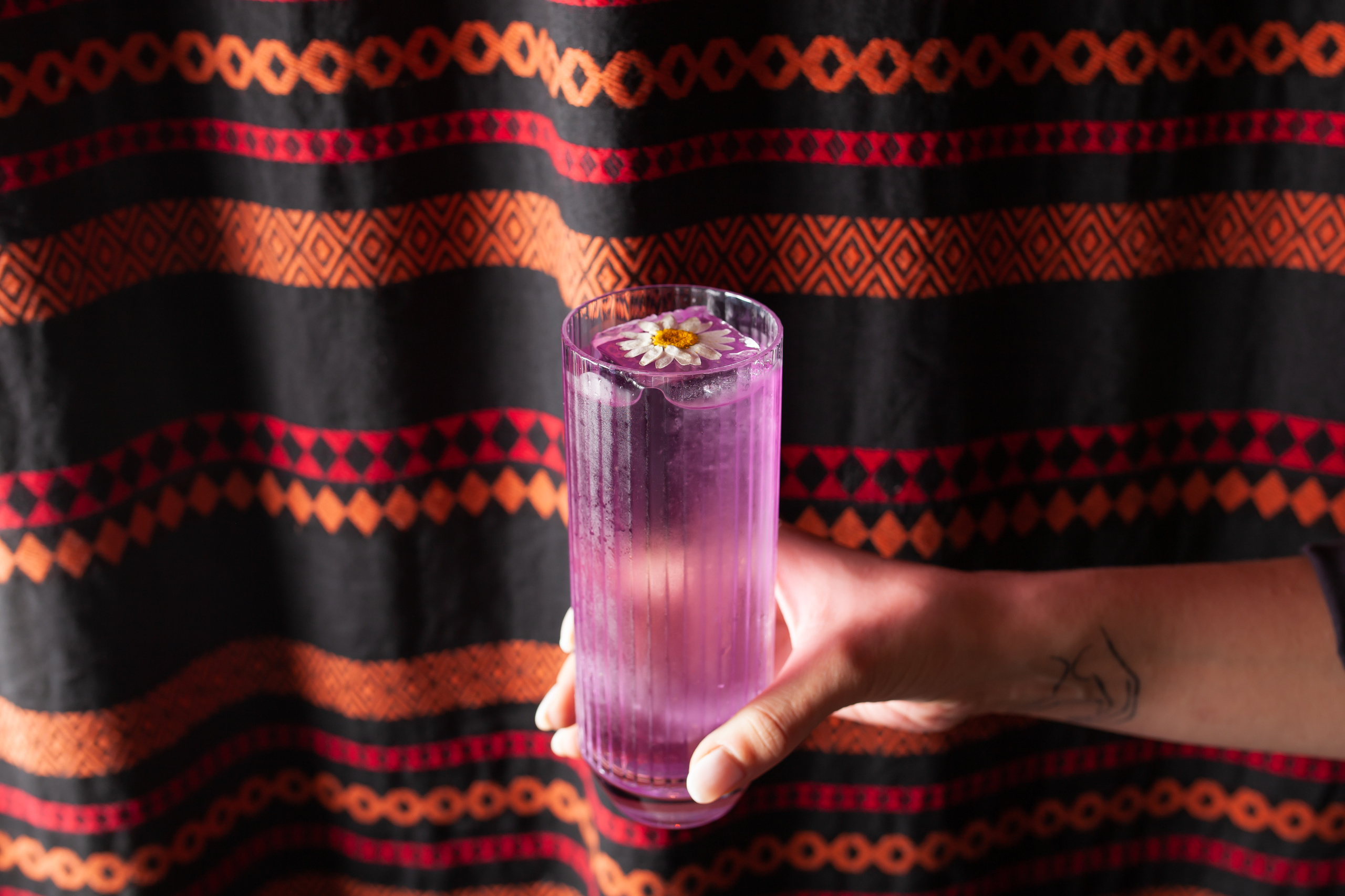 ALPACA. Фотограф Агеева Мария