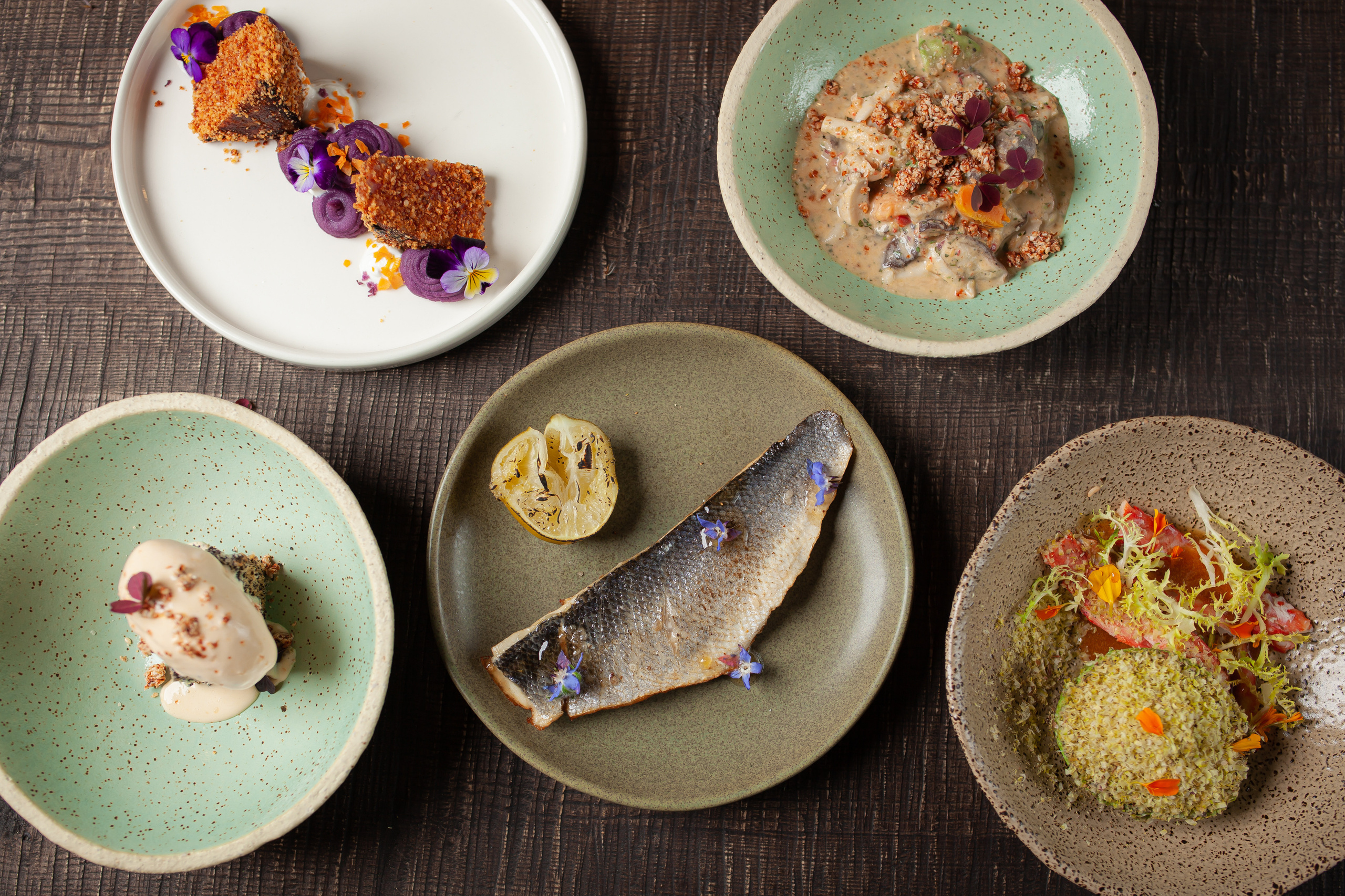 ALPACA. Фотограф Агеева Мария