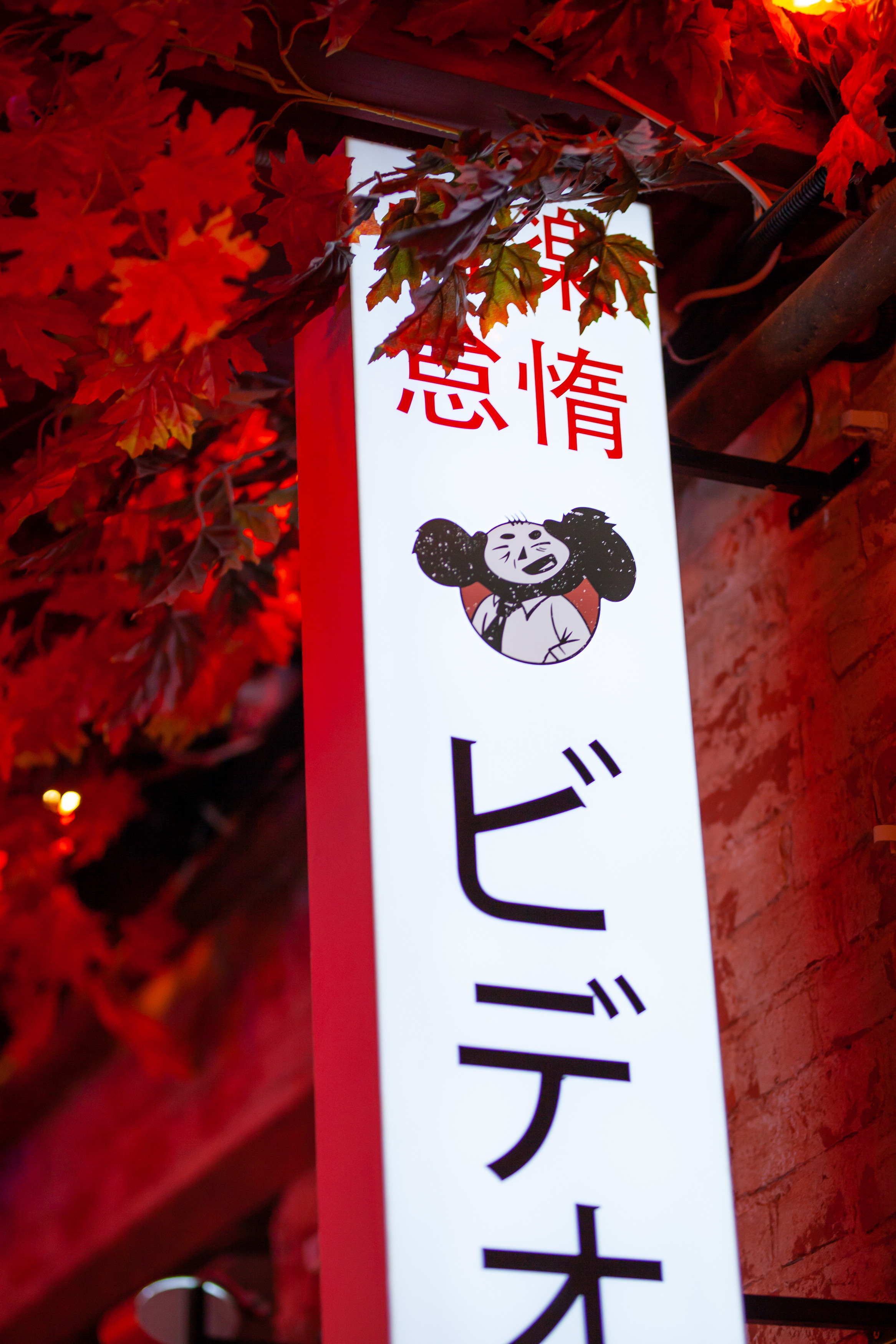 ТЕБУРАСИКА. Фотограф Агеева Мария