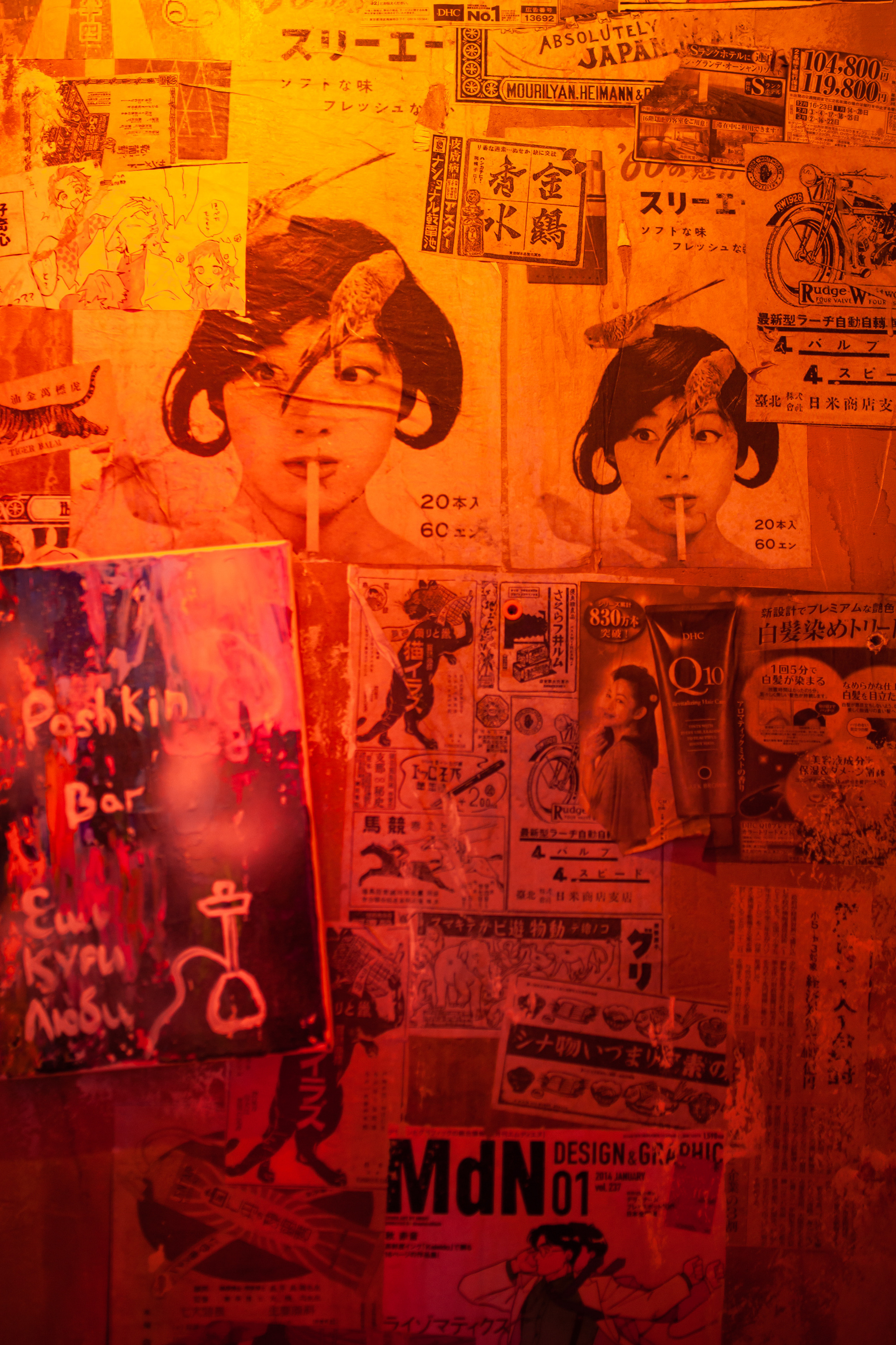 ТЕБУРАСИКА. Фотограф Агеева Мария