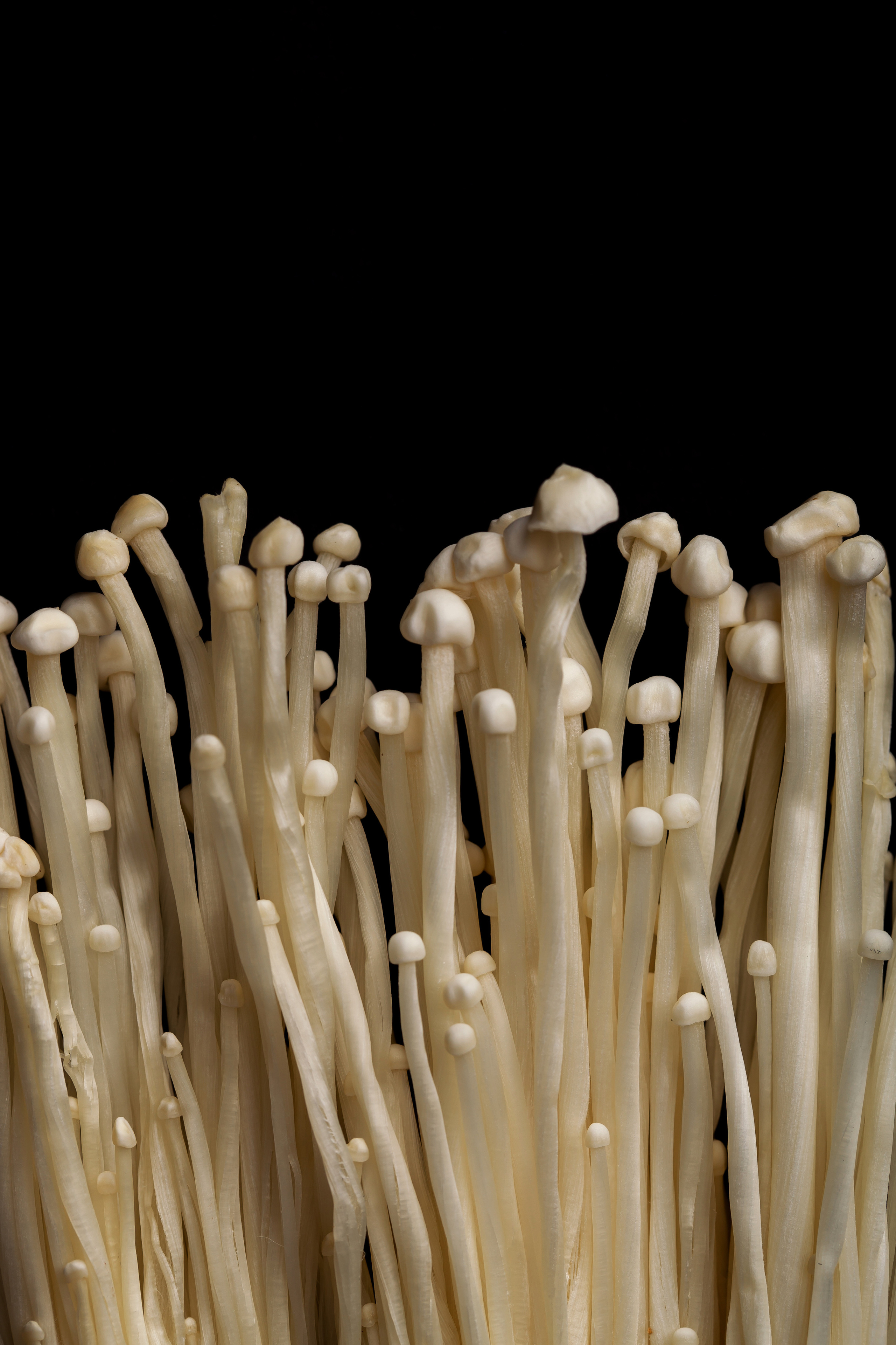 BLACK THAI. Фотограф Агеева Мария