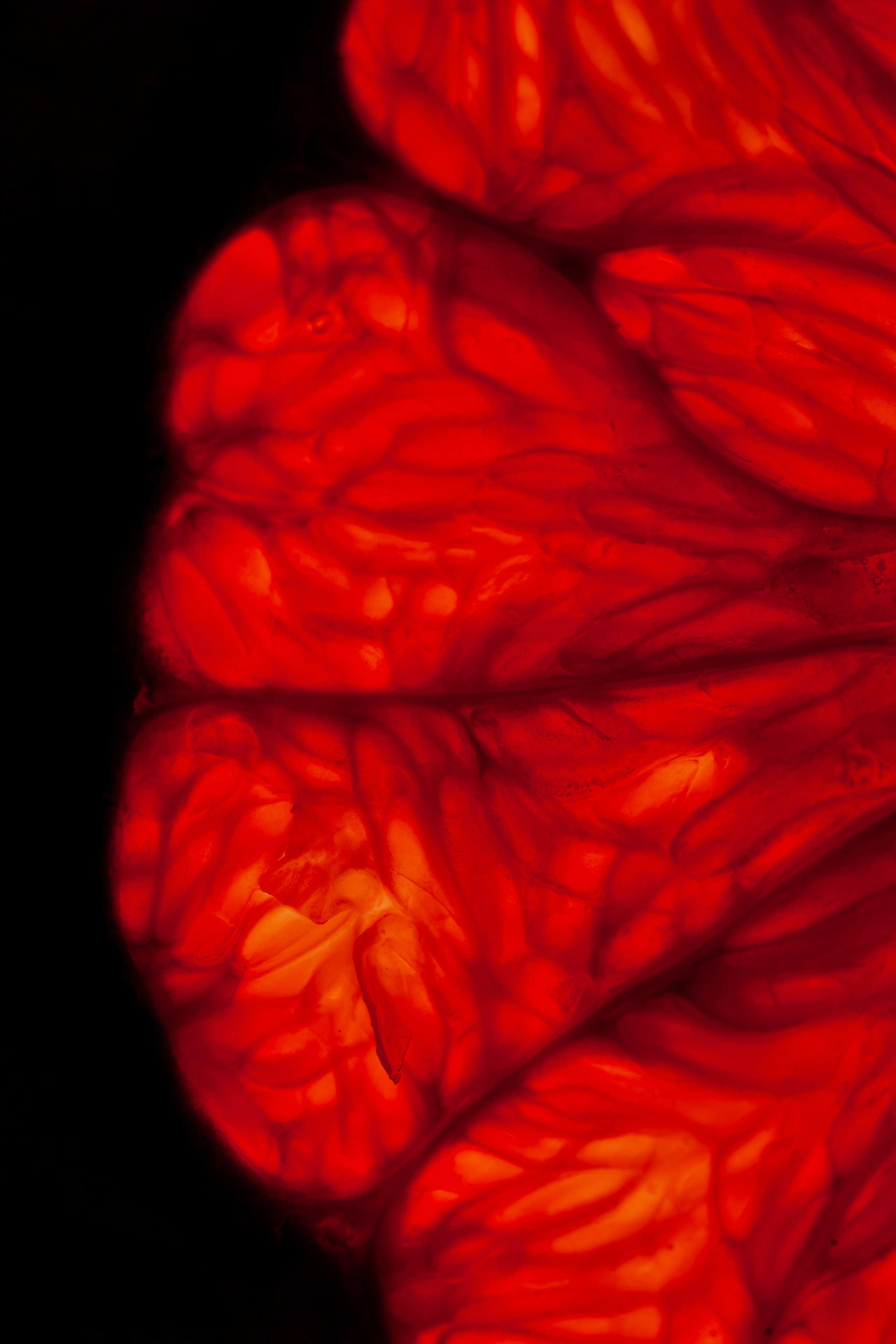 BLACK THAI. Фотограф Агеева Мария