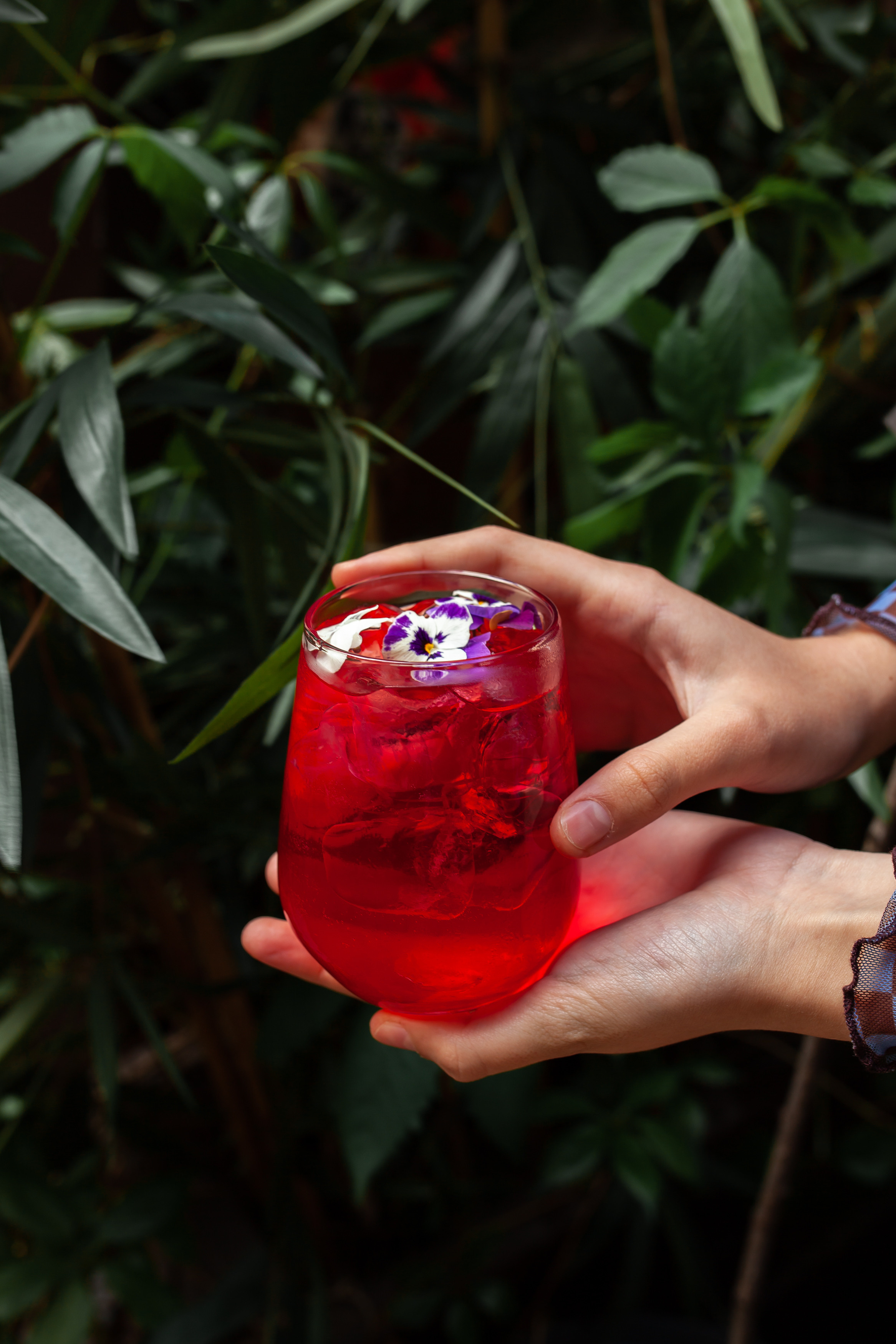 ТЕБУРАСИКА. Фотограф Агеева Мария