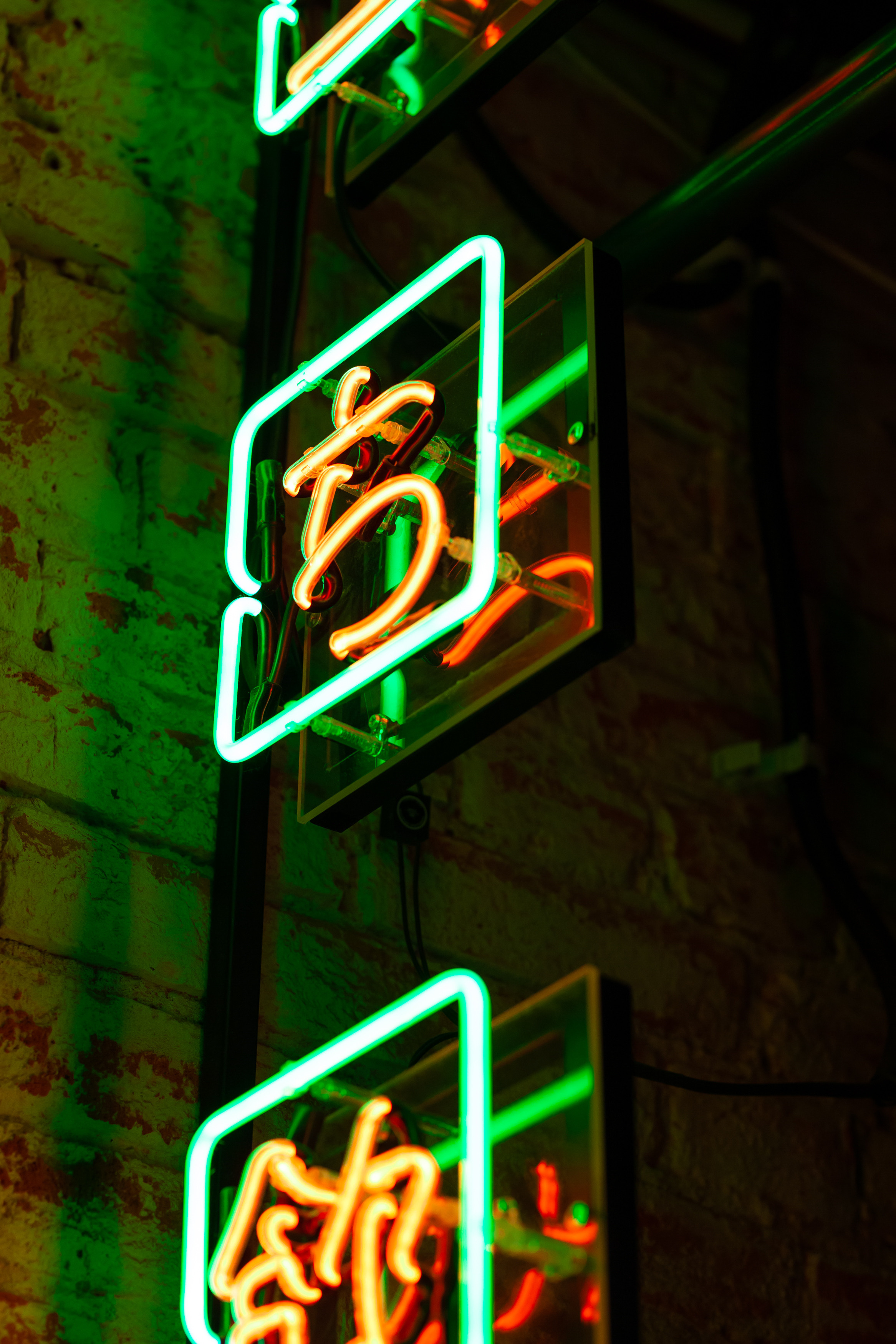 ТЕБУРАСИКА. Фотограф Агеева Мария