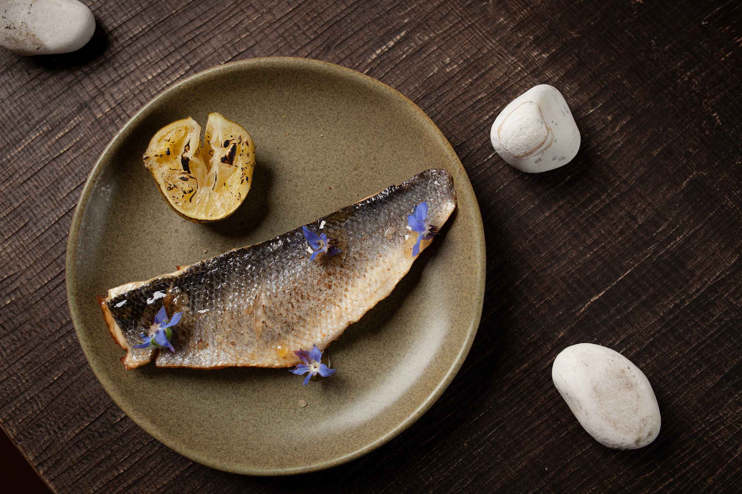 ALPACA. Фотограф Агеева Мария