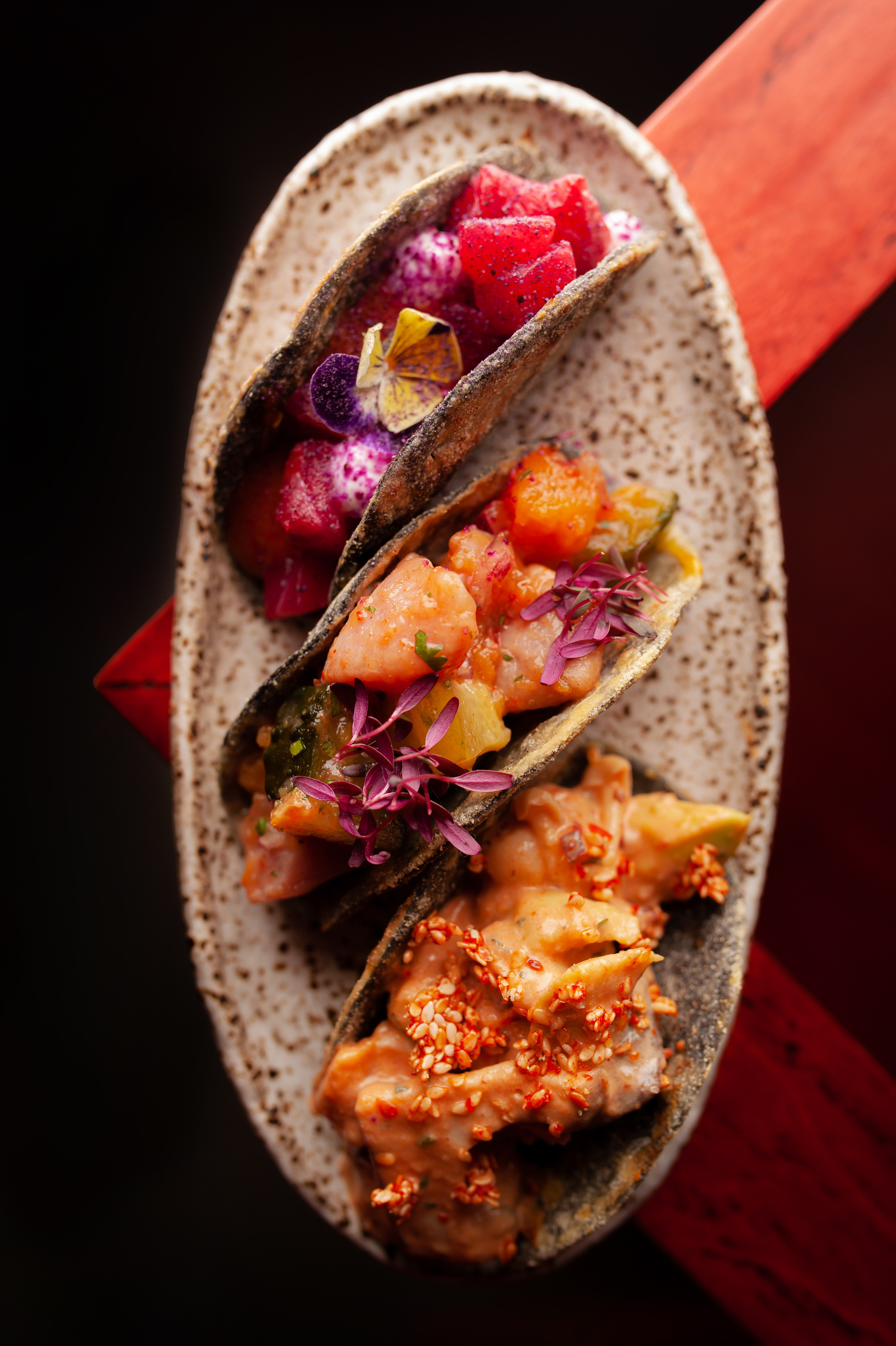 ALPACA. Фотограф Агеева Мария