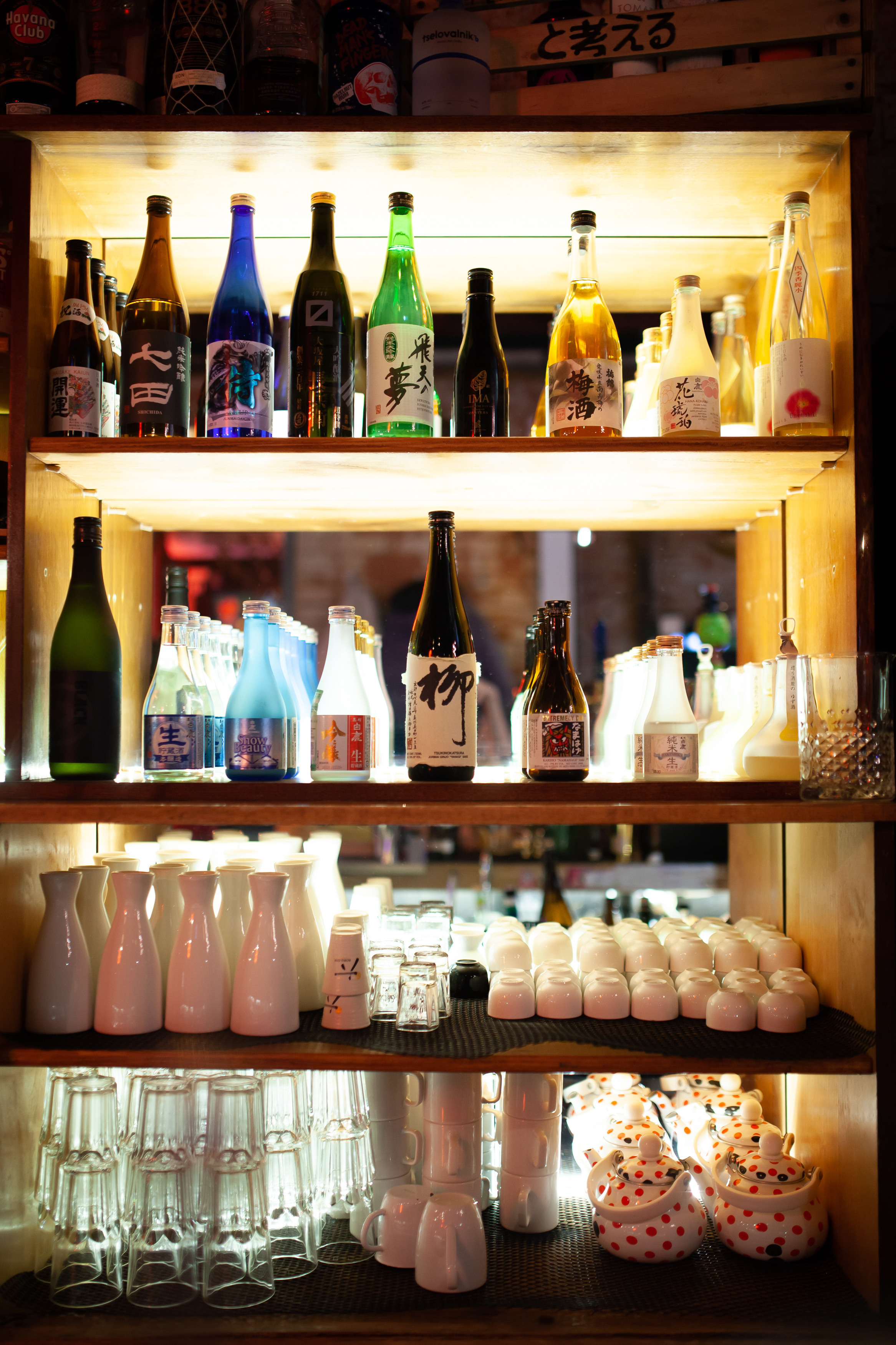 ТЕБУРАСИКА. Фотограф Агеева Мария