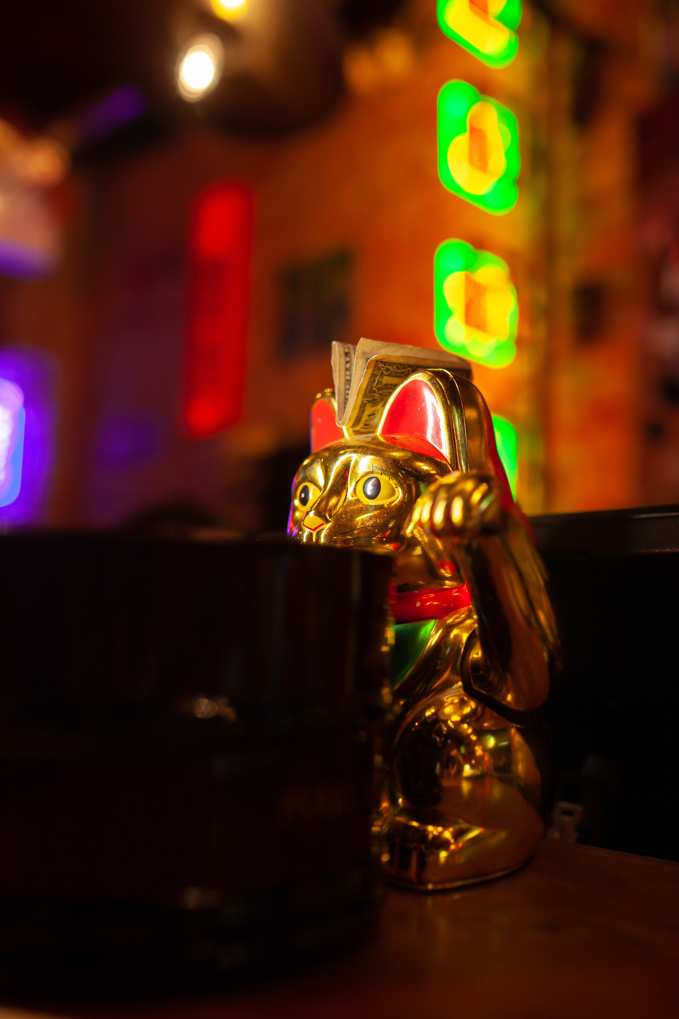 ТЕБУРАСИКА. Фотограф Агеева Мария