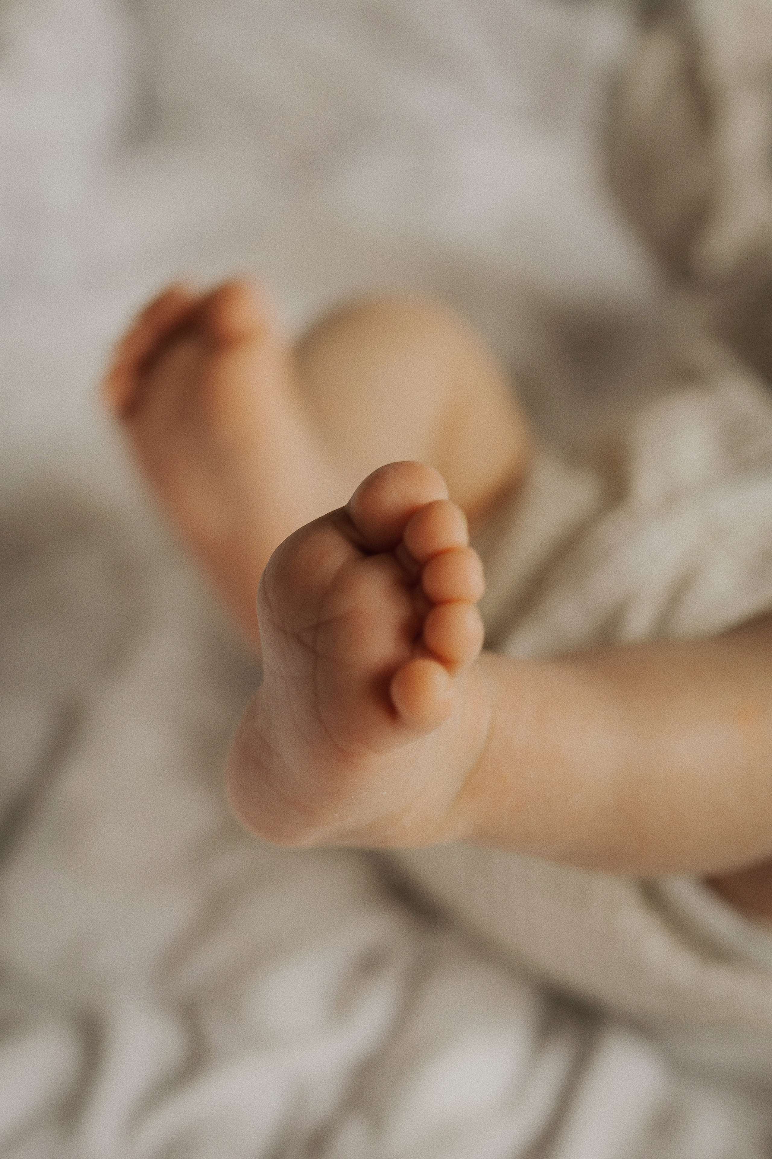 FAMILY. Фотограф Агеева Мария