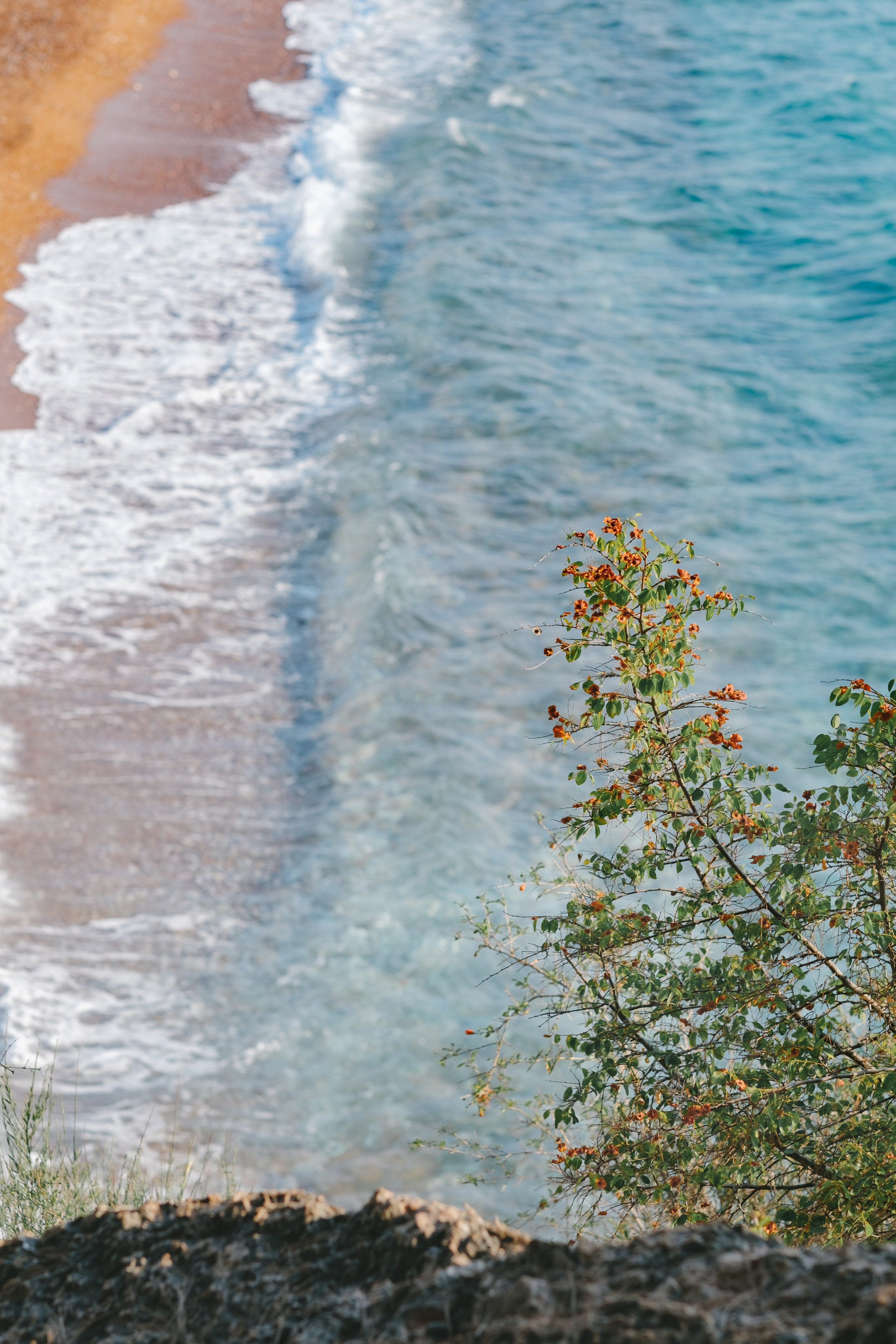 Budva. Свадебный Видеограф Фотограф в Сочи