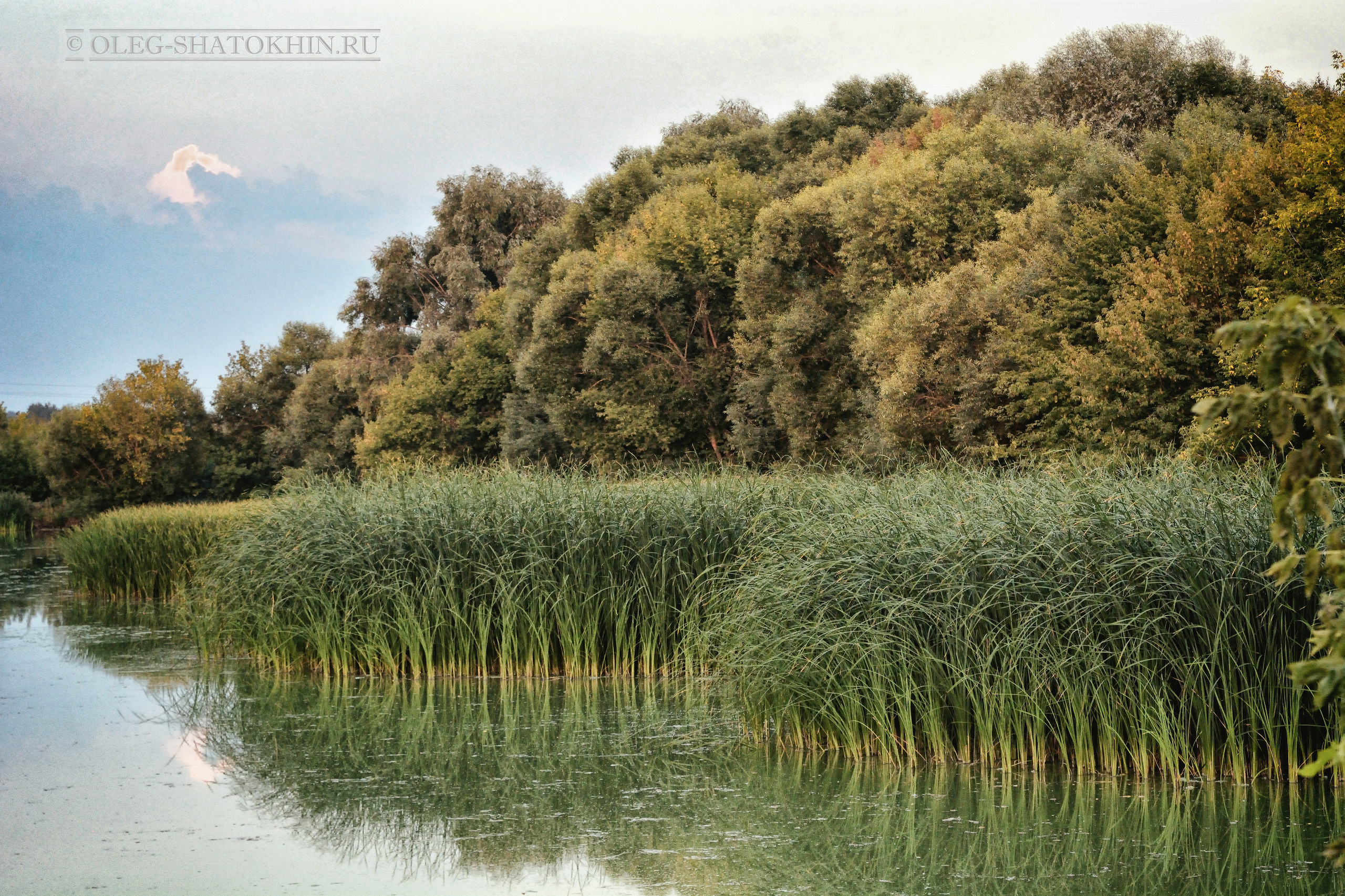 Пейзажи. Свадебный фотограф Олег Шатохин  Москва и Московской область
