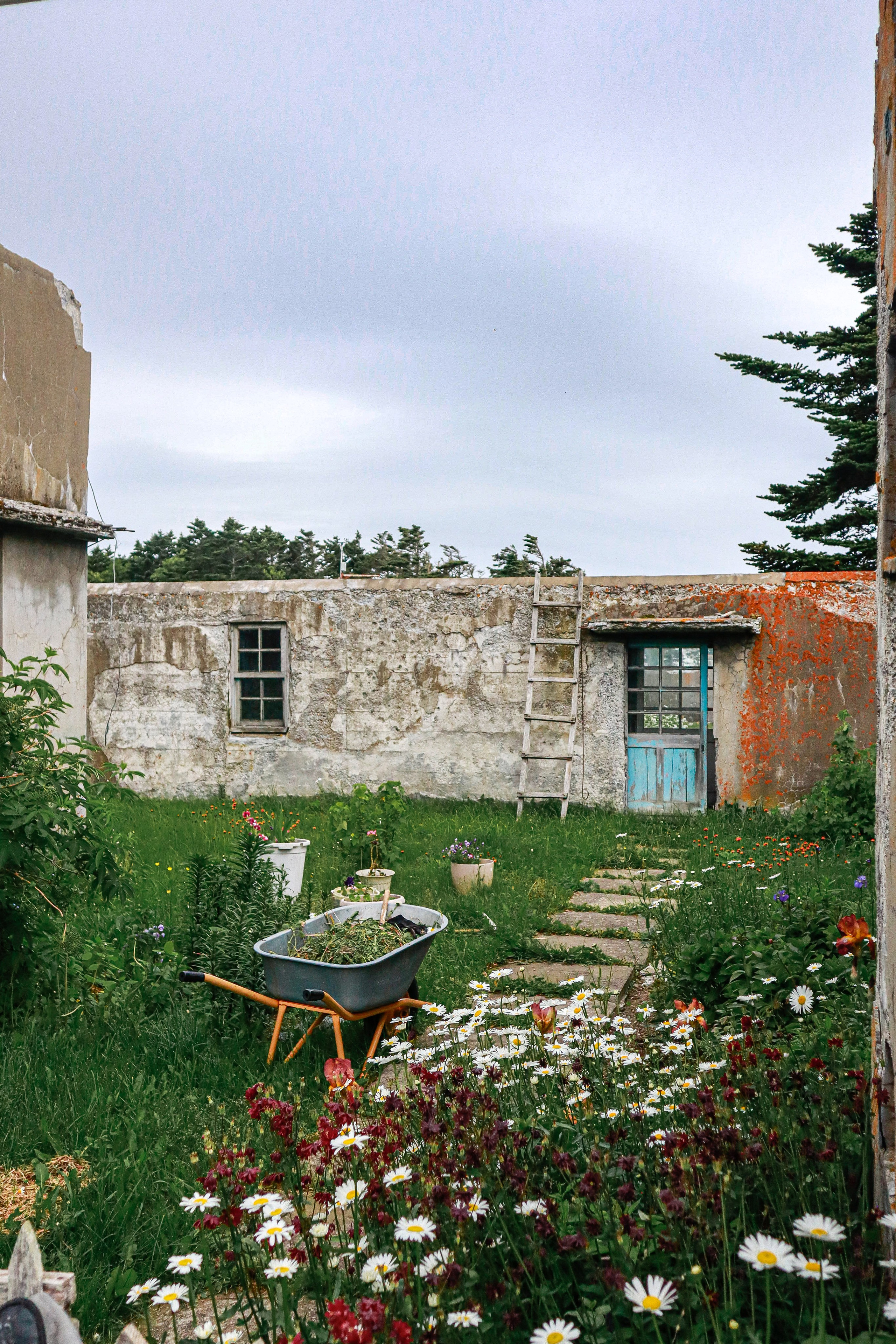 Маяк Тонин на мысе Свободном. Карафуто. Фотограф в Южно-Сахалинске Гусаков Евгений