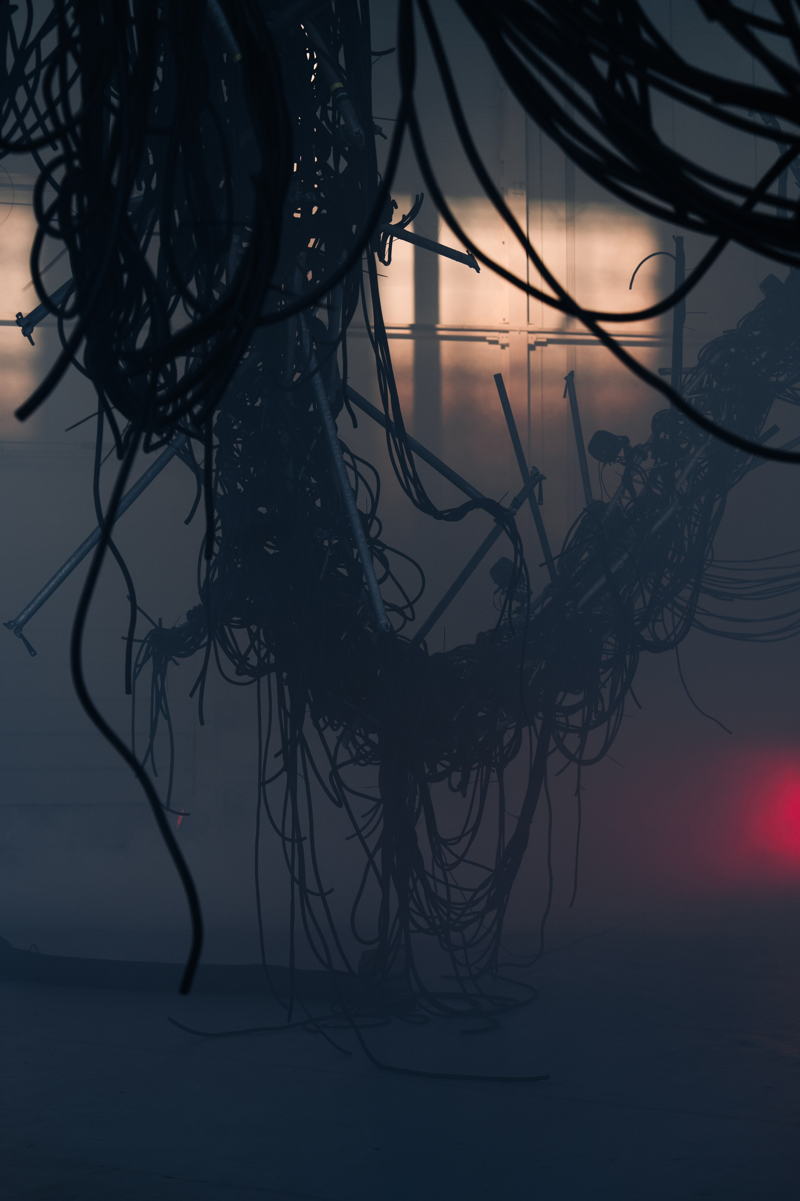 PANTERRA, CHRONOMORPH 001. @tomrus: Рустам Шагиморданов — фотограф