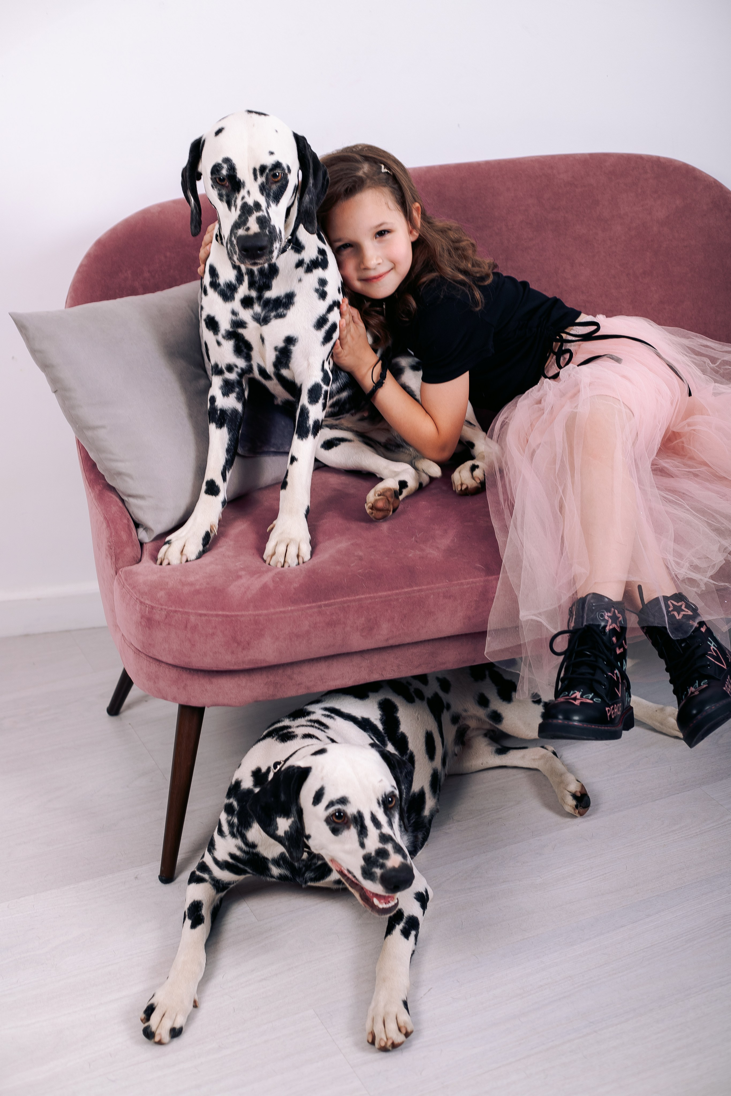 Фотосессия с далматинцами в фотостудии. Фотограф в Санкт-Петербурге, Анна Скворцова