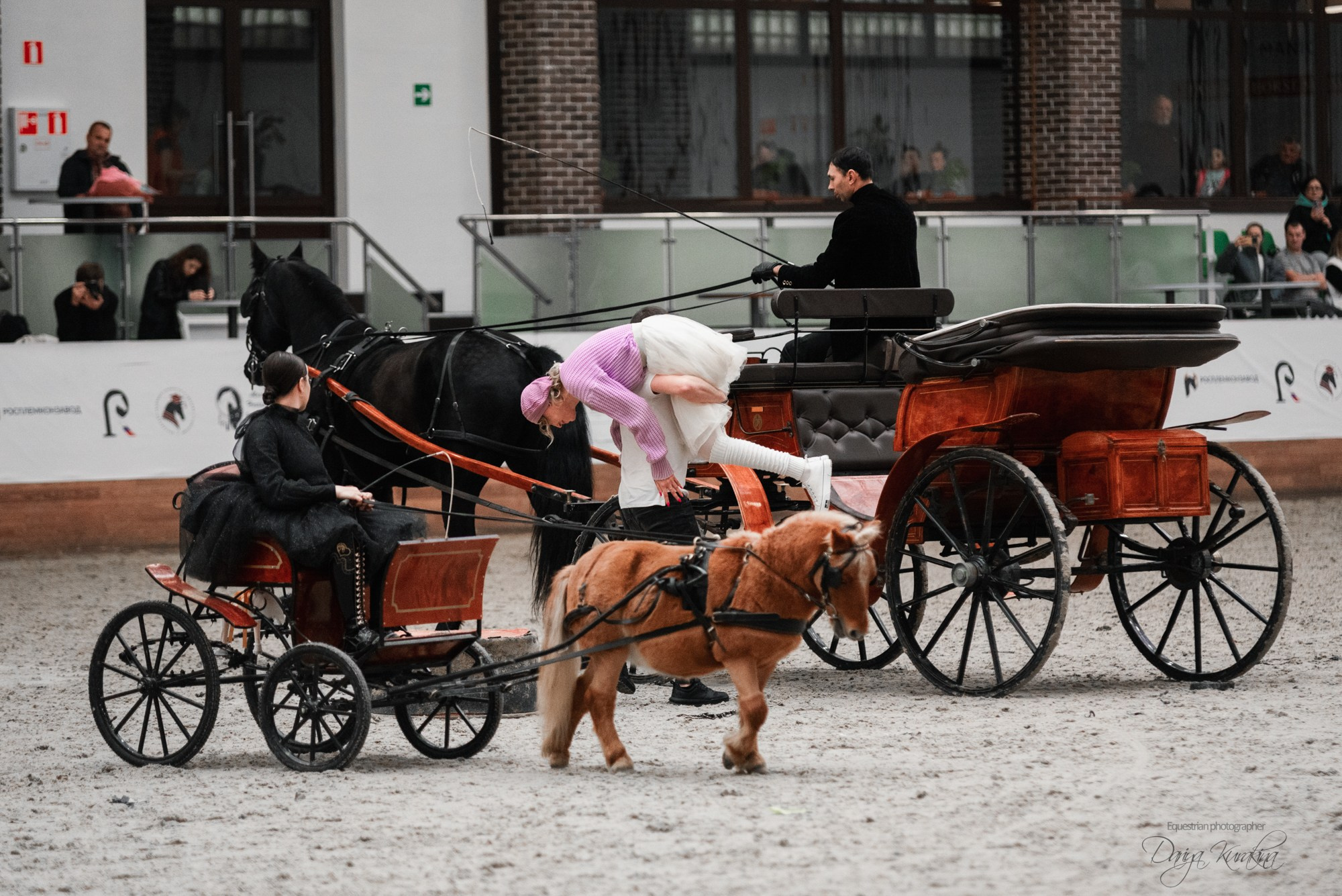 8-я международная выставка Конная Россия. Конный фотограф Куракина Дарья • Фотосессии с лошадьми