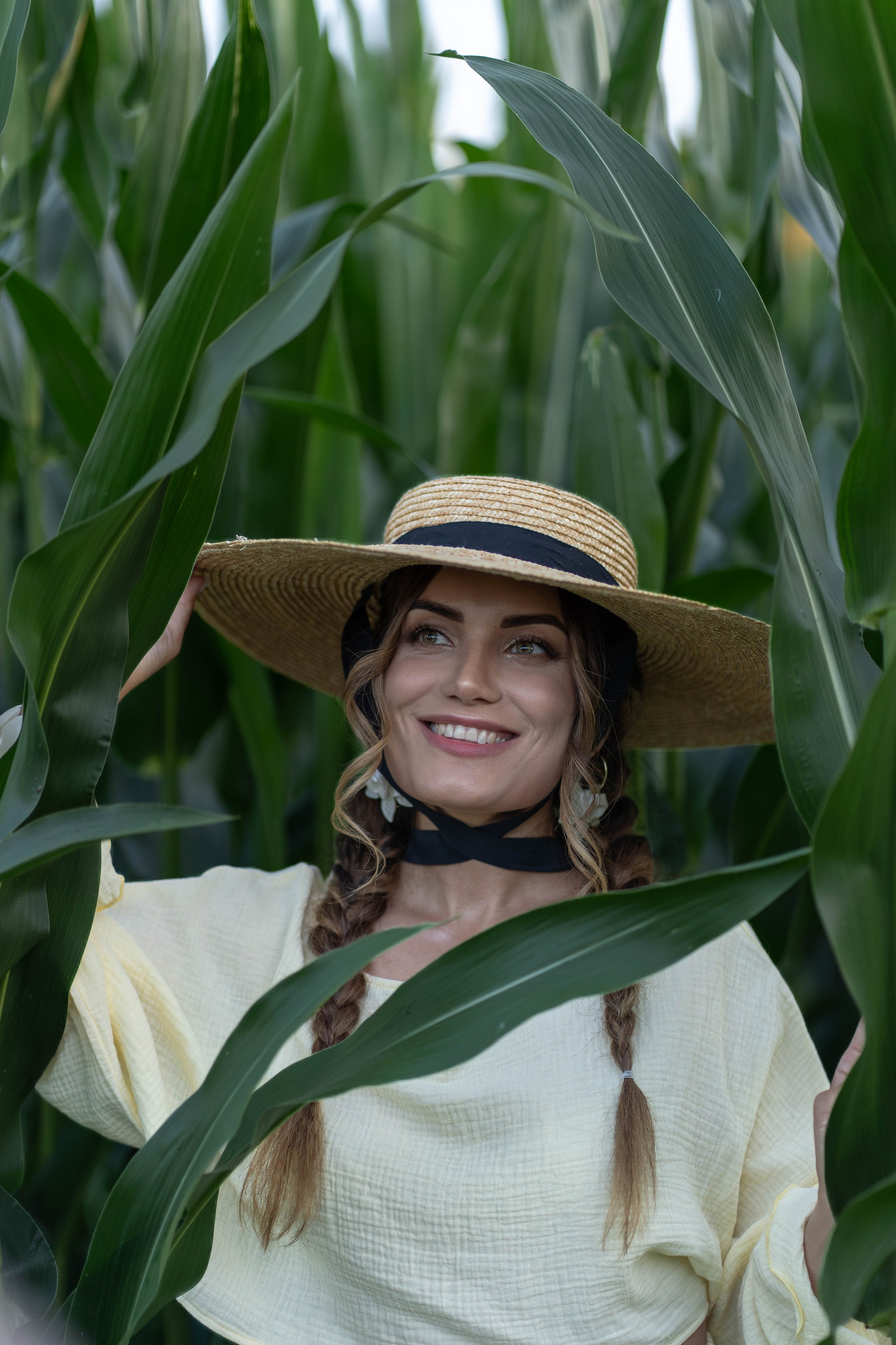 Кукурузное поле. Главная