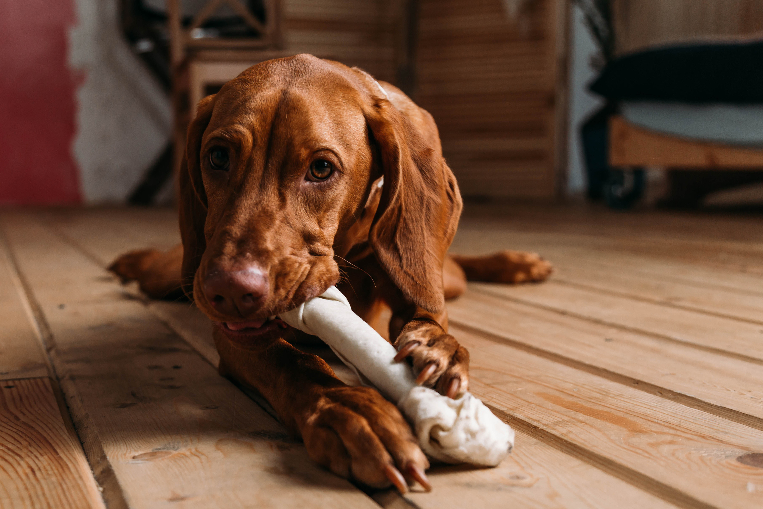 Семейные фотосессии в Кирове
