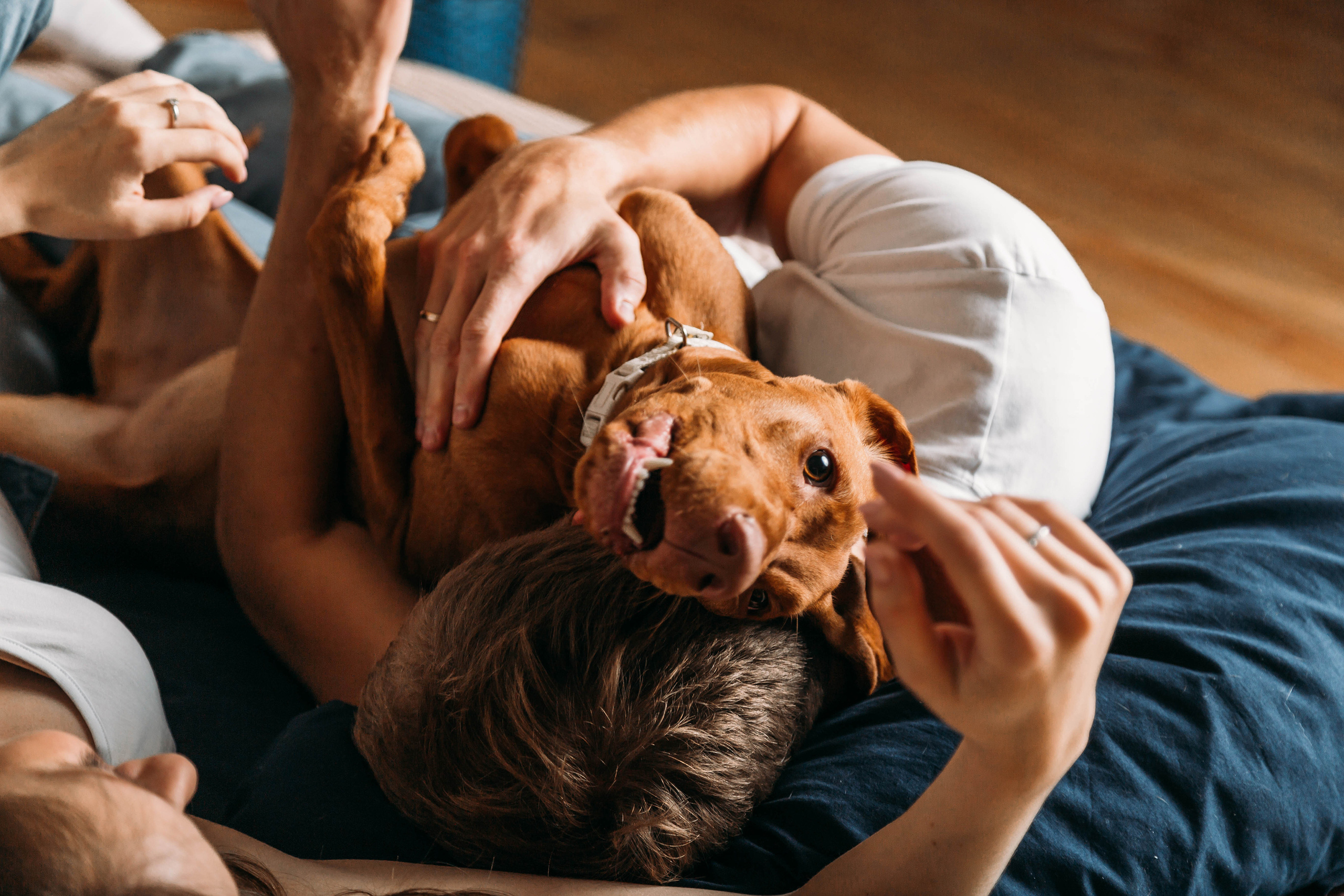 Семейные фотосессии в Кирове