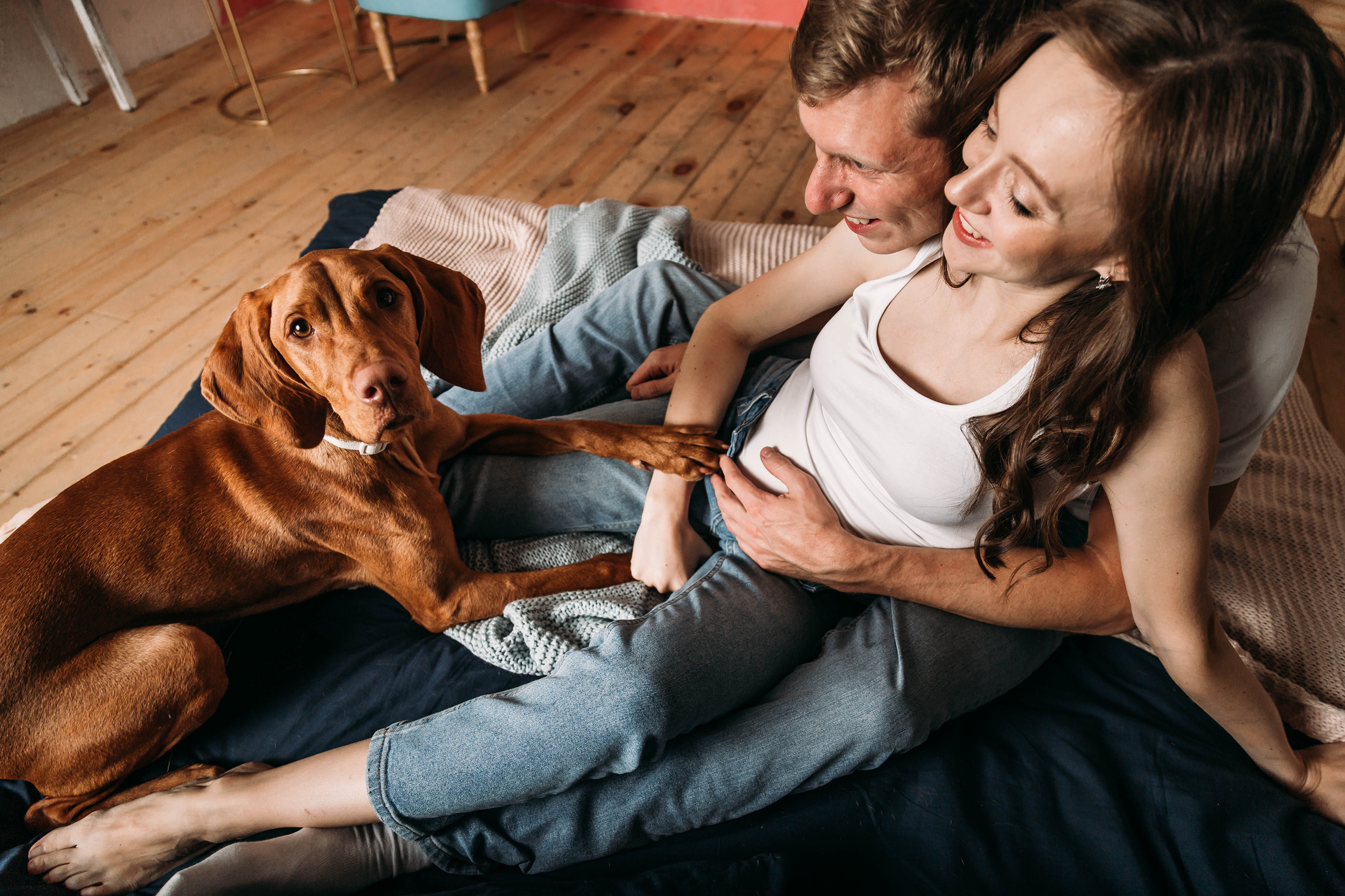 Семейная фотосессия беременности с собакой (венгерской выжлой) на фотосессии в фотостудии "Проект 7" в Кирове