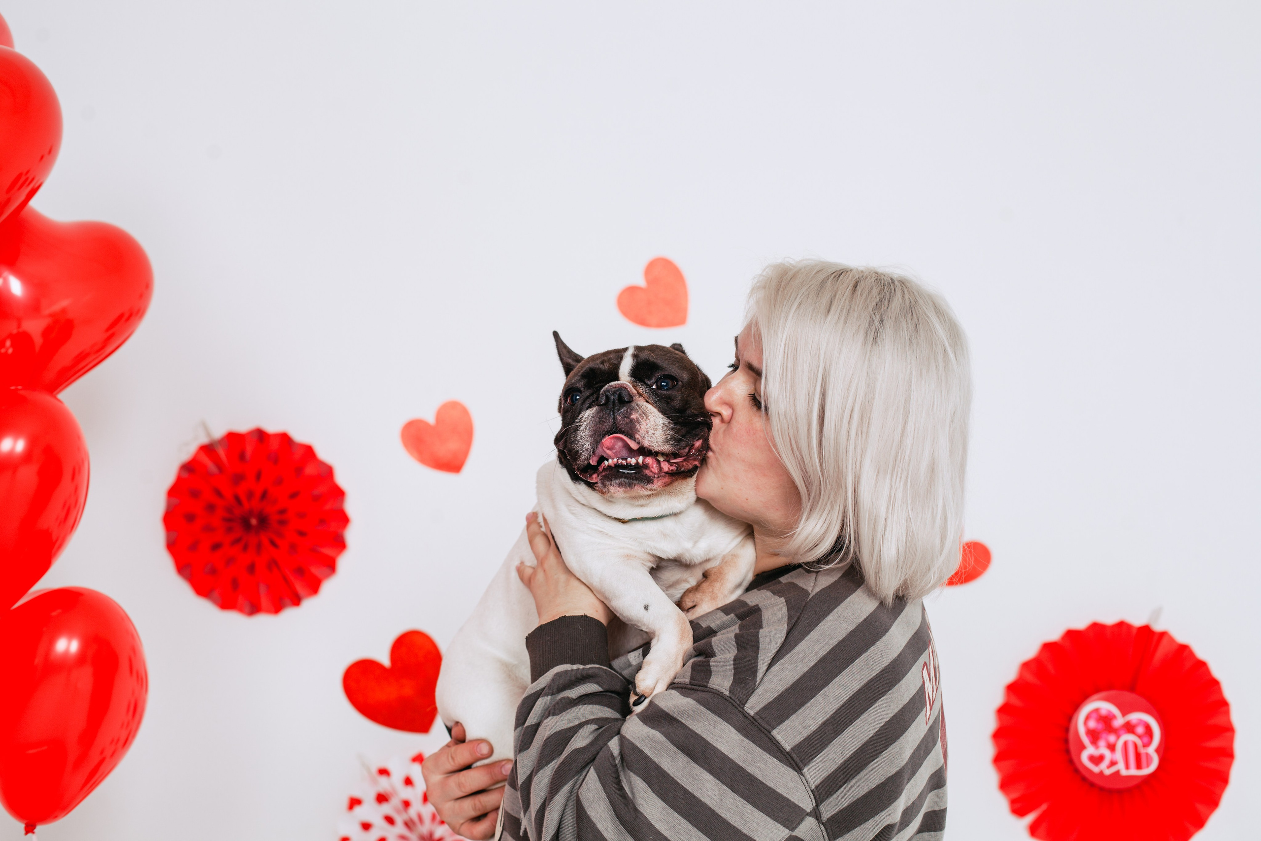 Пижамная вечеринка французских бульдогов и их хозяев. Фотограф-анималист Татьяна Степанова