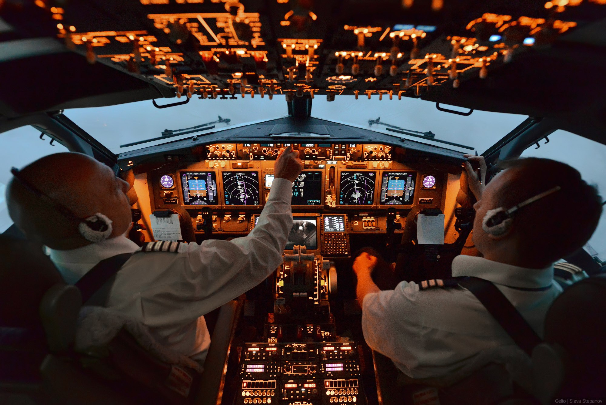 Аваиция. Фотограф Слава Степанов, Gelio