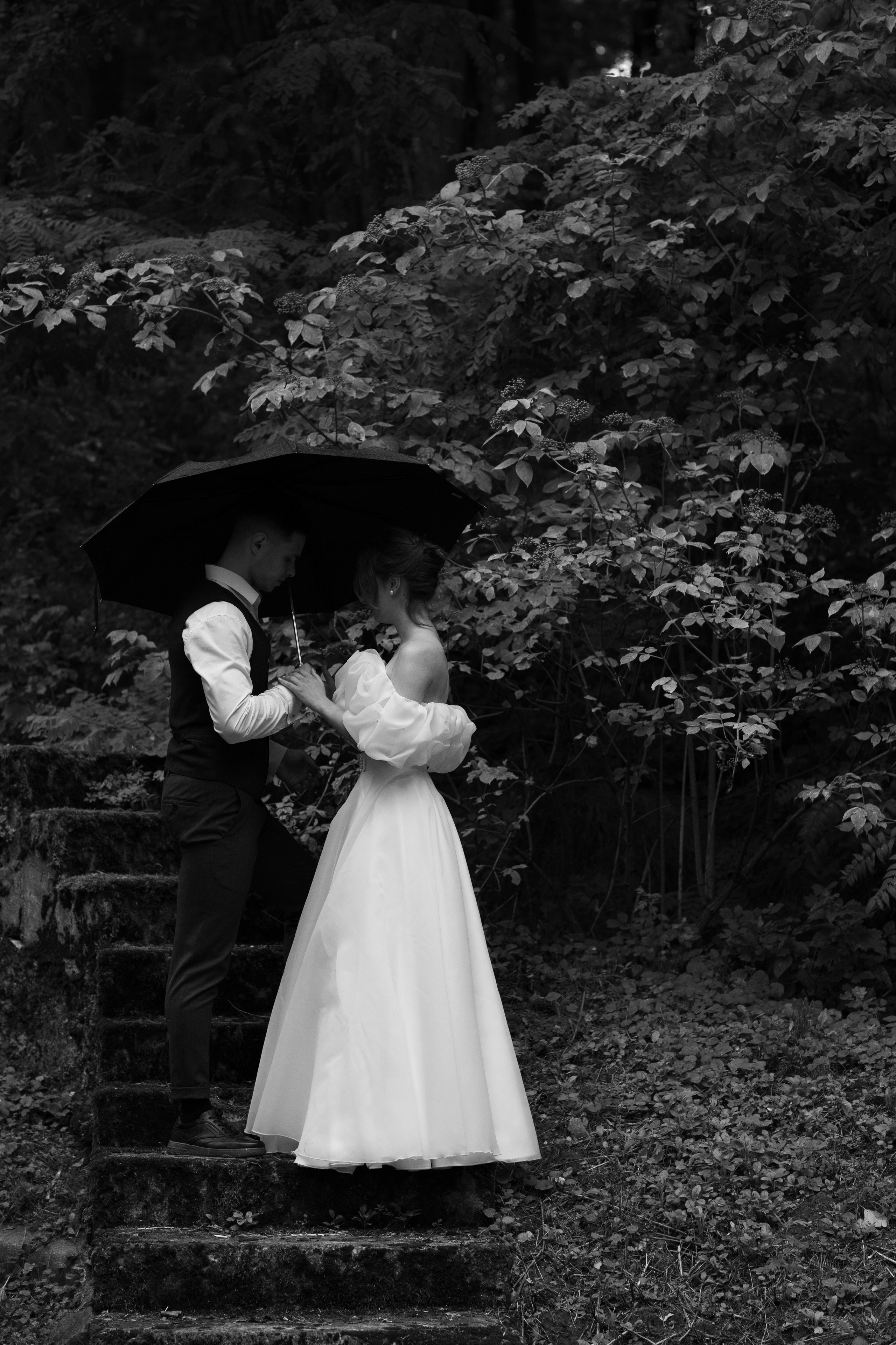 УСАДЬБА СЕГЕНЕЙ. Cheta Kovalevsky фотографы