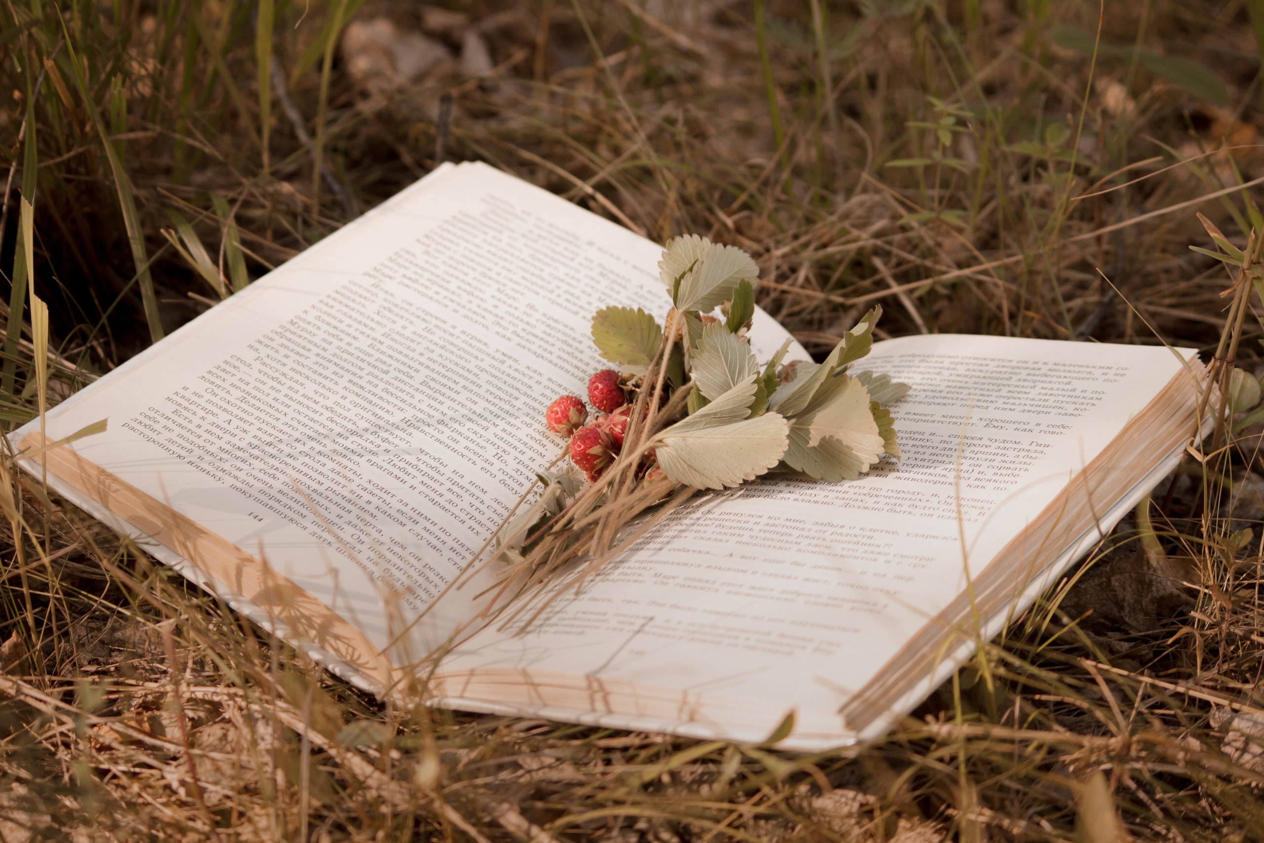 Фотограф Юлия Мешаева