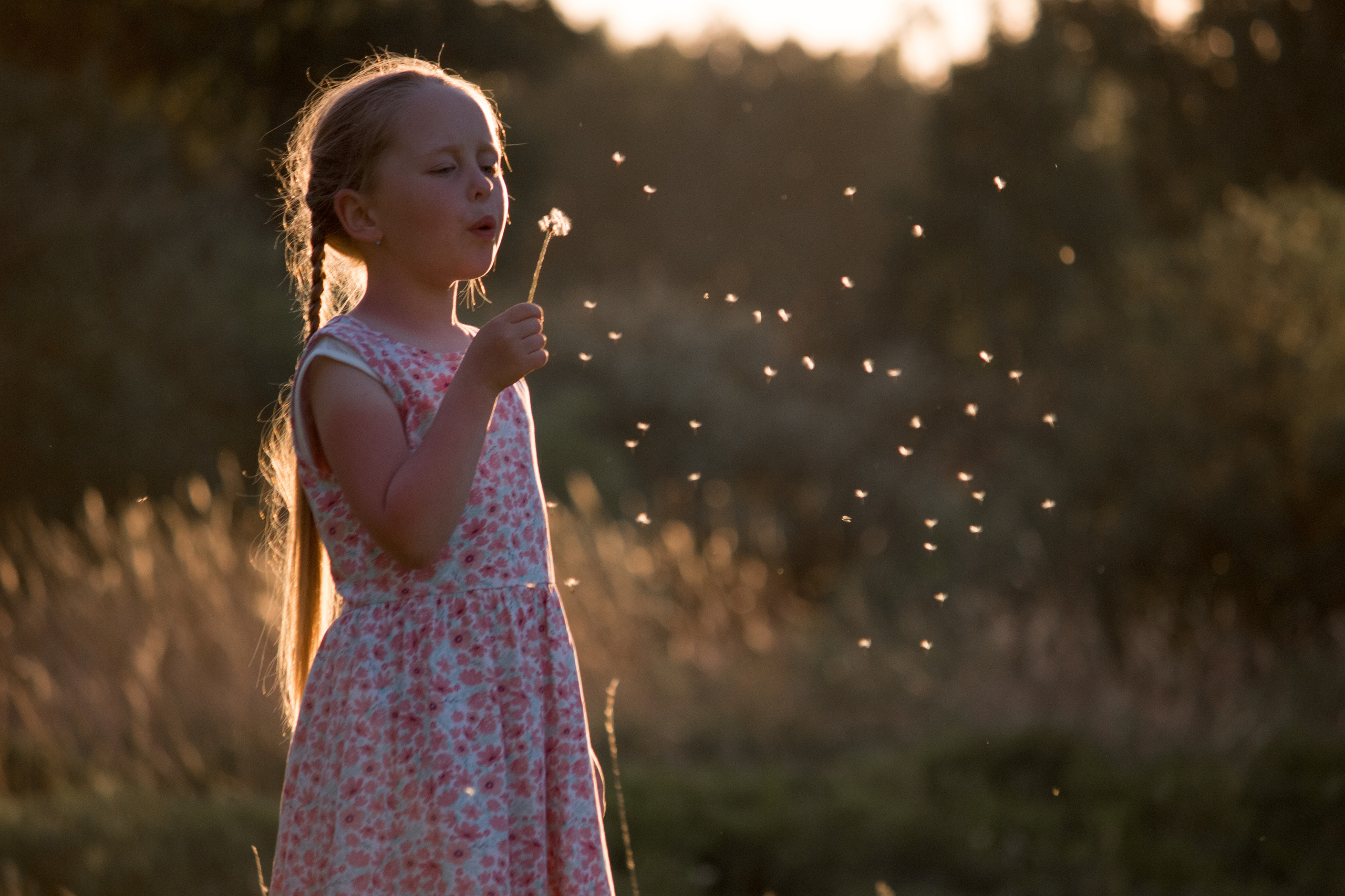Фотограф Юлия Мешаева