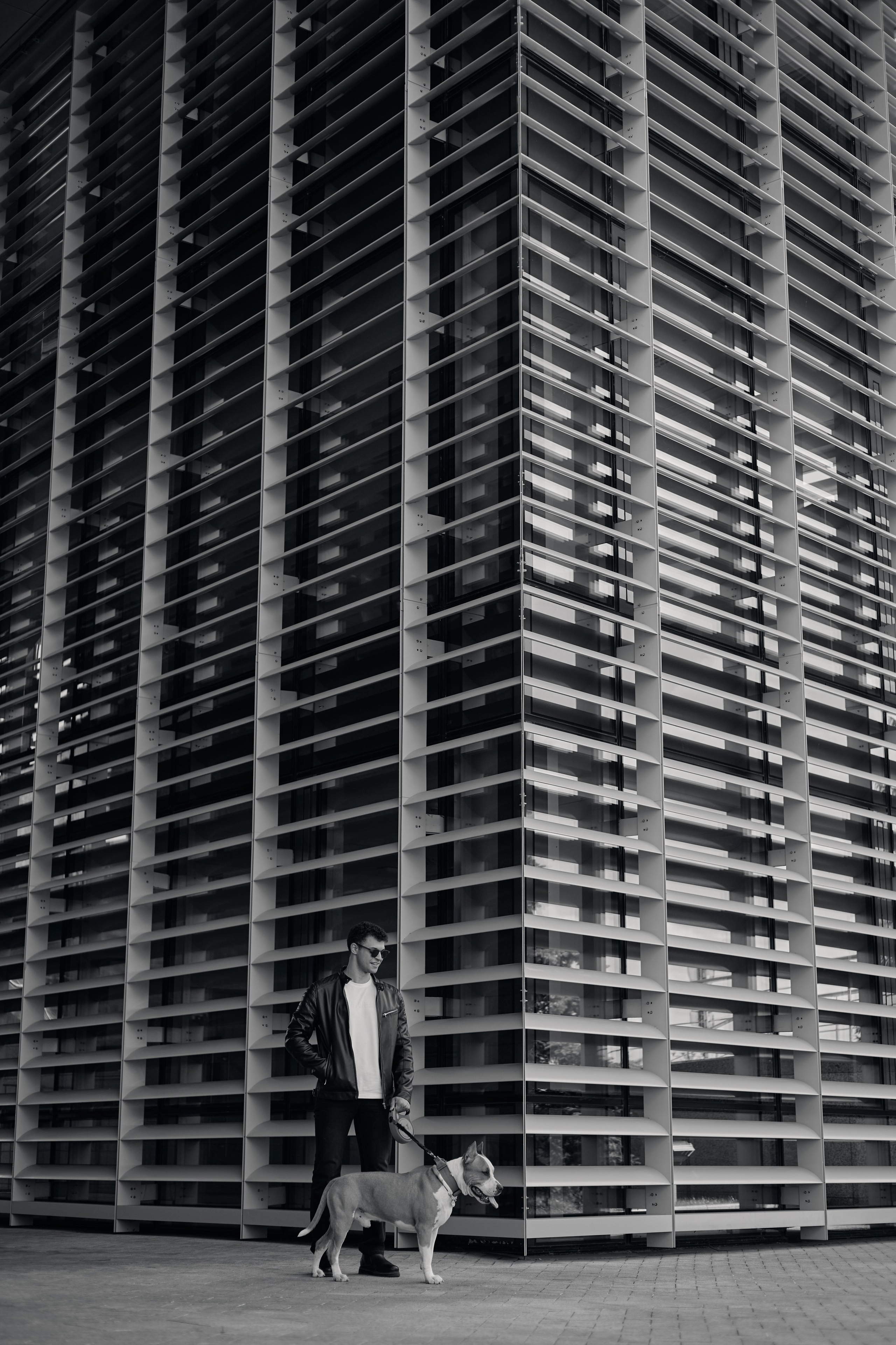 Абдо (прогулка с собакой). Фотограф из Казани