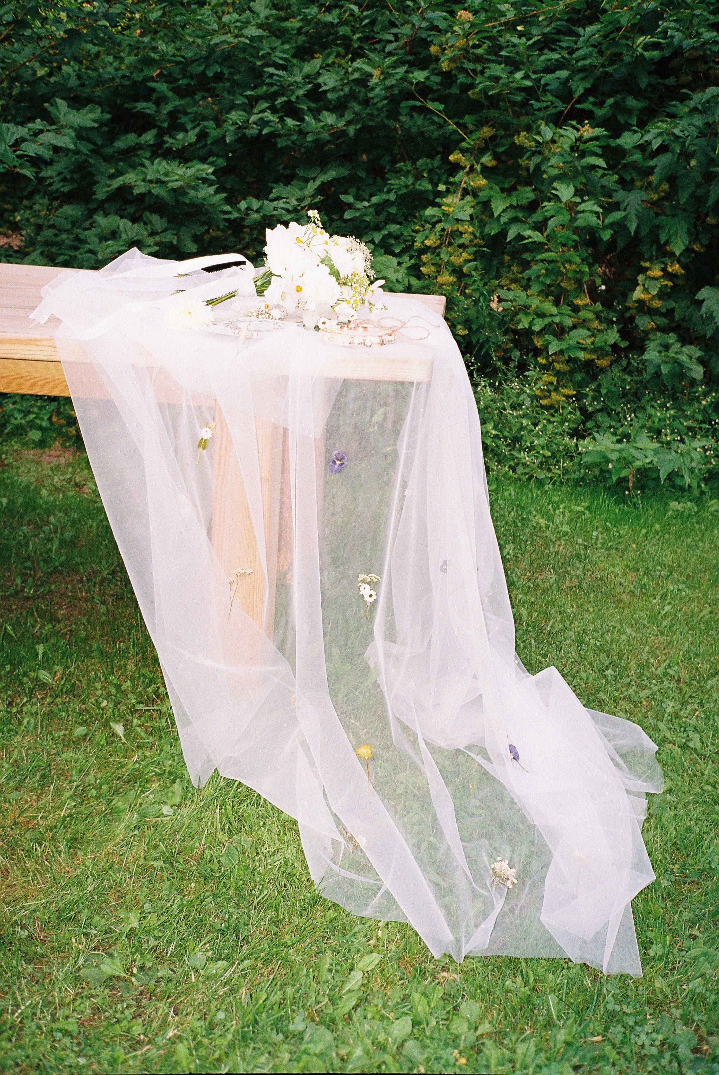 Пленка. Свадебный фотограф Минск РБ