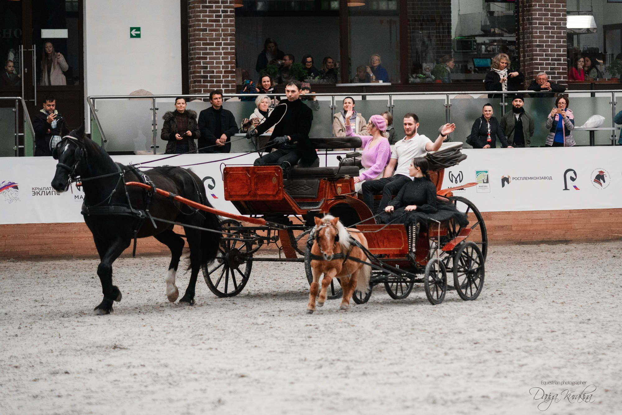 8-я международная выставка Конная Россия. Конный фотограф Куракина Дарья • Фотосессии с лошадьми