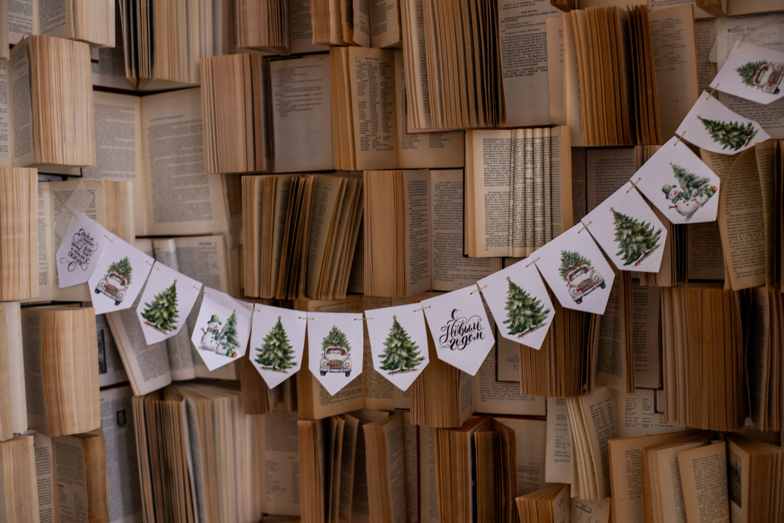 Циклорама. Фотограф г. Хабаровск. Семейные и индивидуальные съёмки