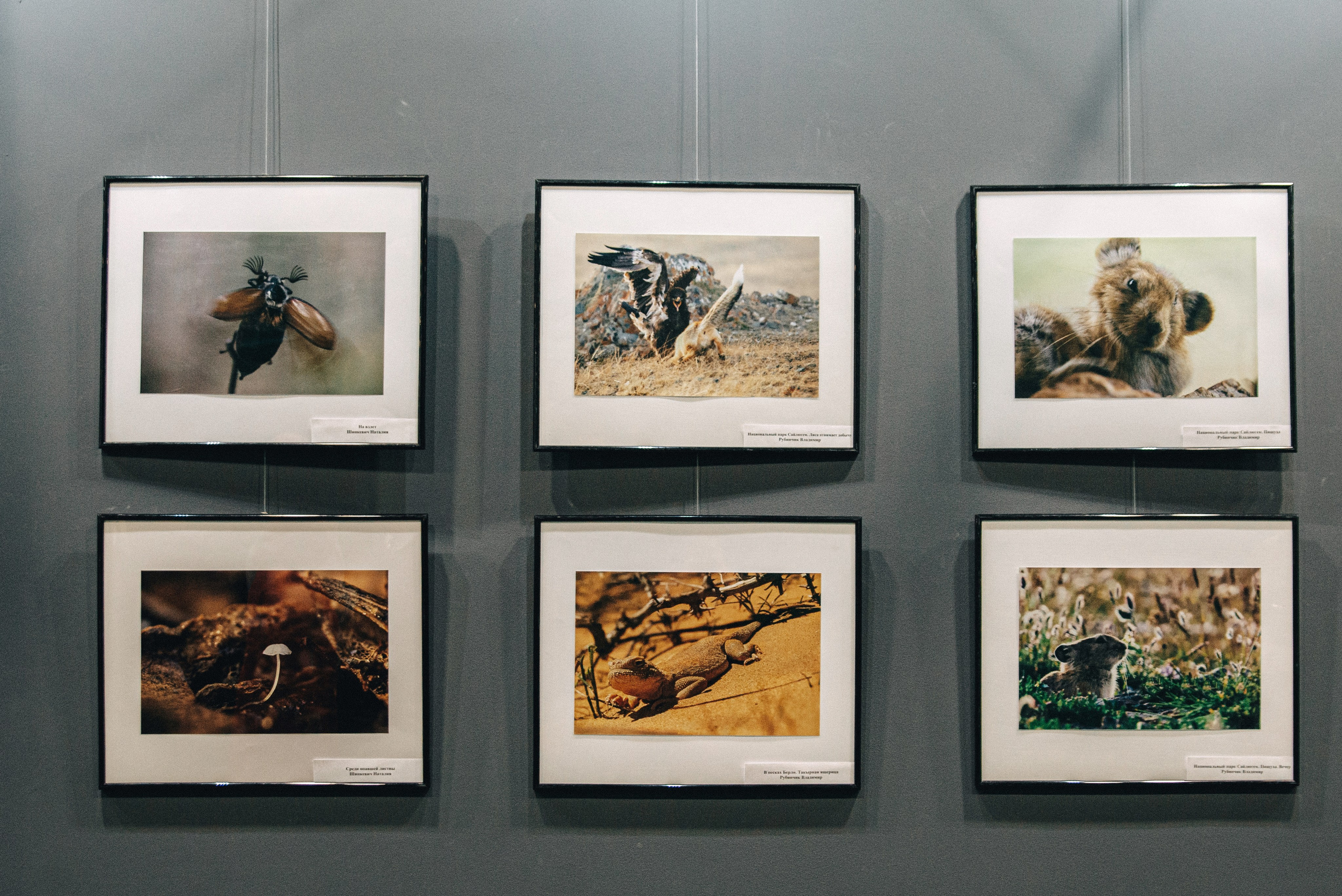 «ФотоГрани». Фотограф в Самаре Елена Фомина