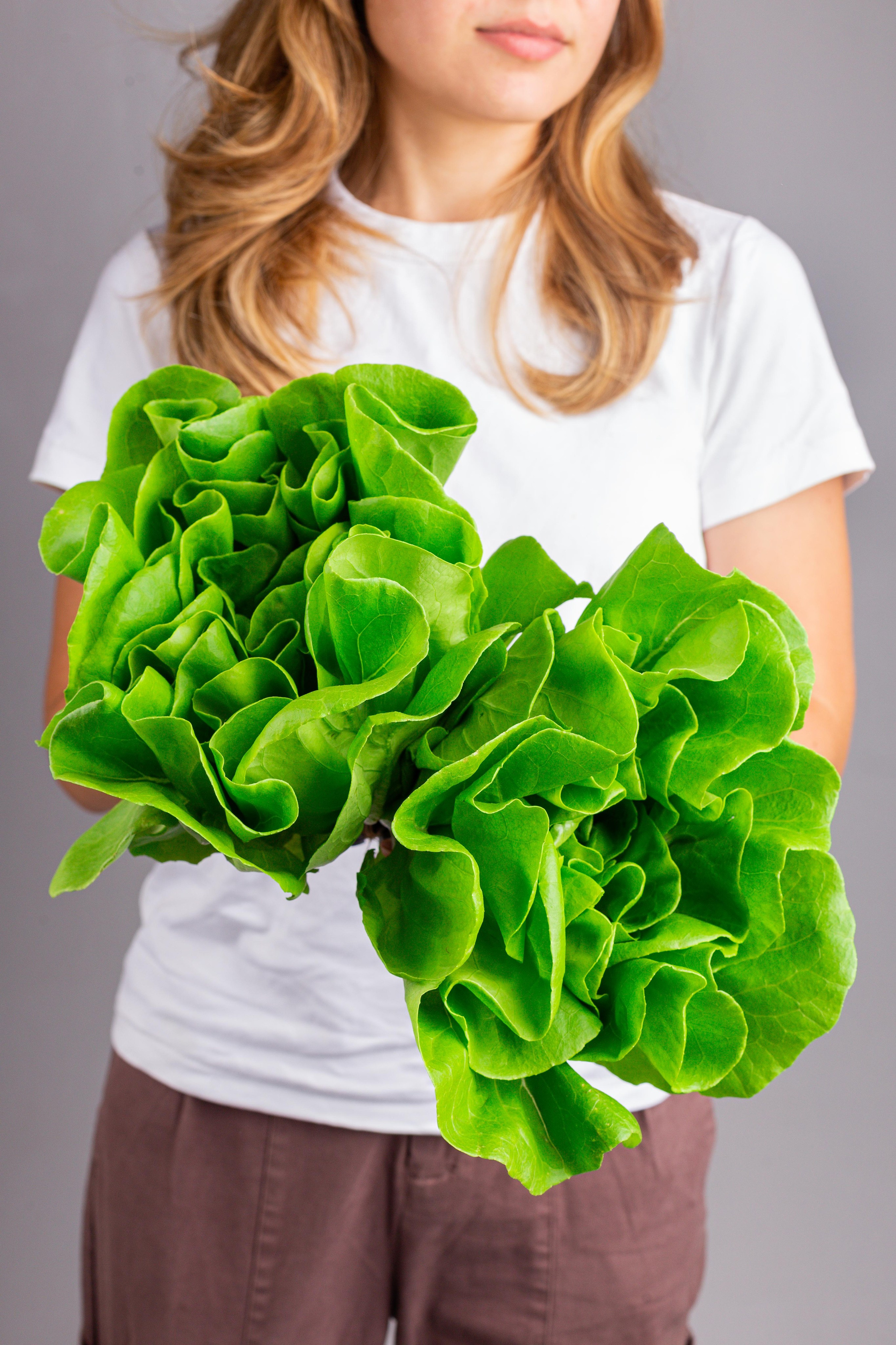 РОСТ. Краснов Максим фуд-фотограф, предметный фотограф, Москва