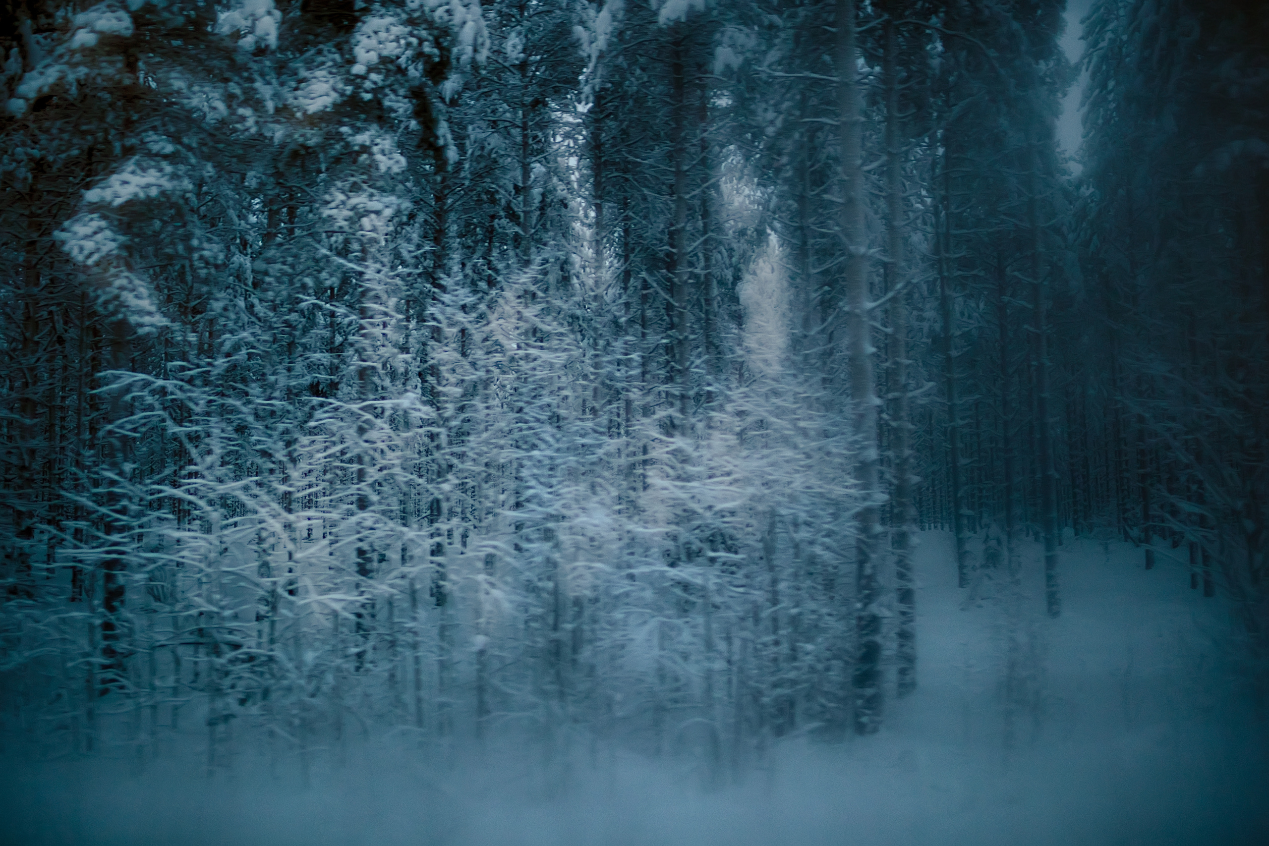 Купить фотокартину на холсте. Fotógrafa impresionista Rada Buenos Aires